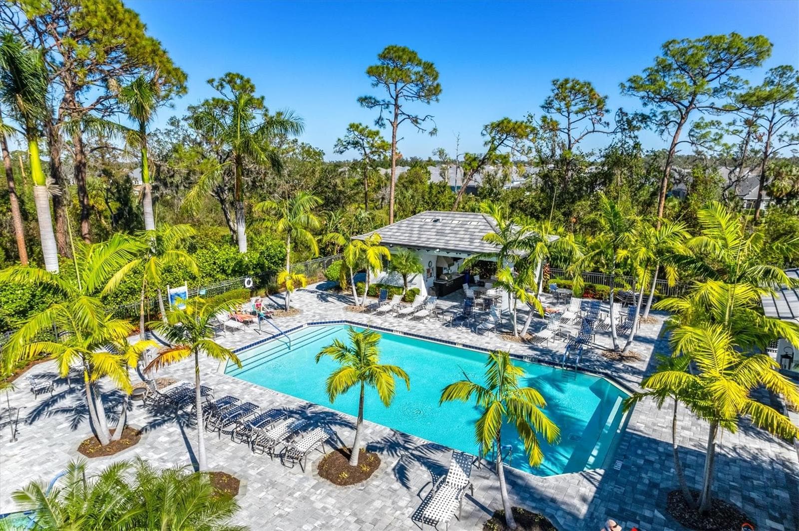 Oasis Pool - 3031 SKY BLUE CV, BRADENTON