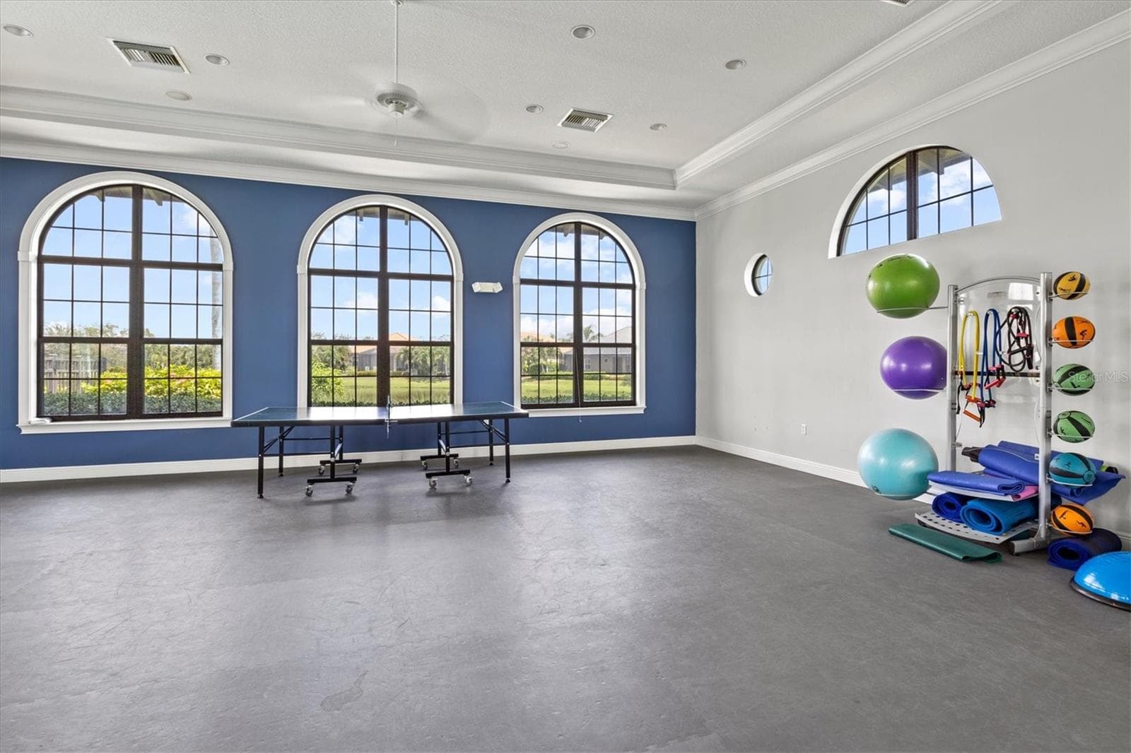Movement Room - 3031 SKY BLUE CV, BRADENTON
