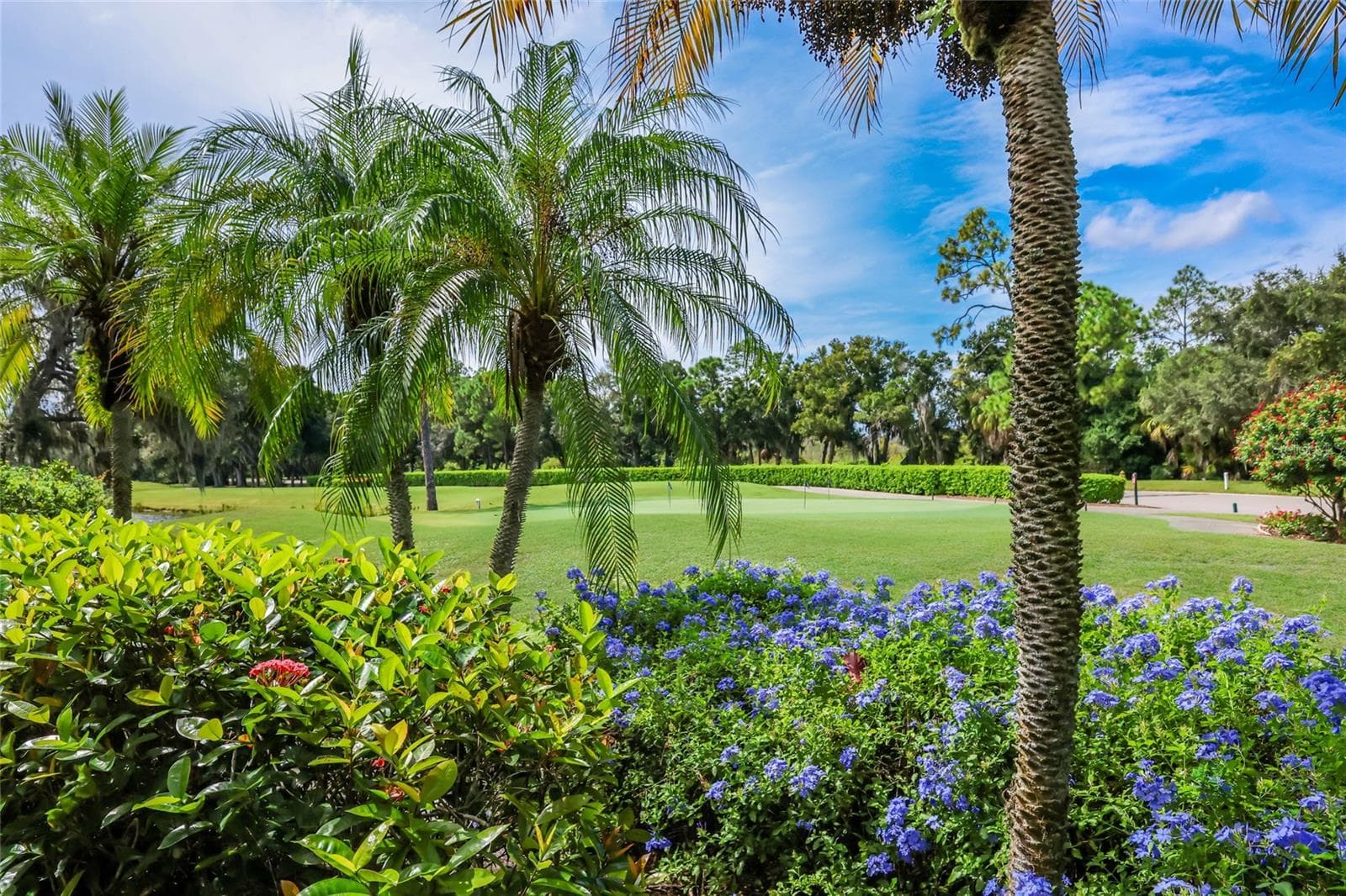 View of practice putting green - 8702 52ND DR E, BRADENTON