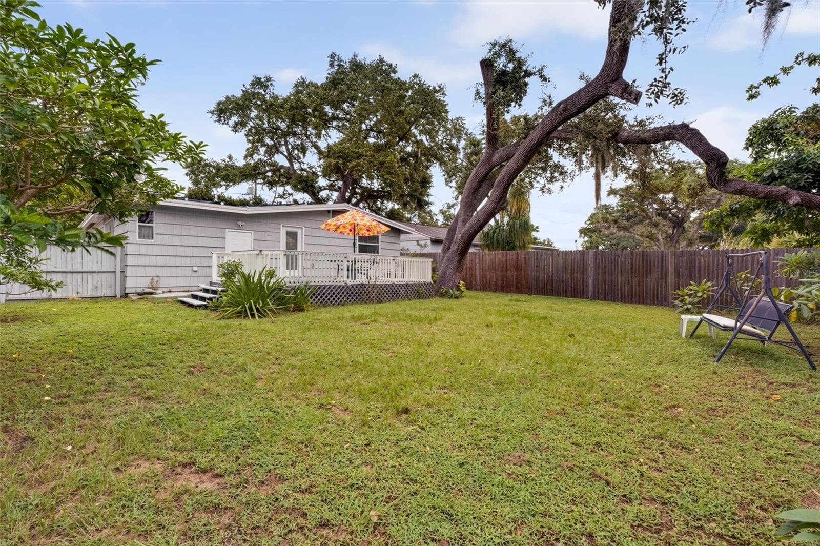 Large fenced in back yard - 519 NORFOLK ST, DUNEDIN
