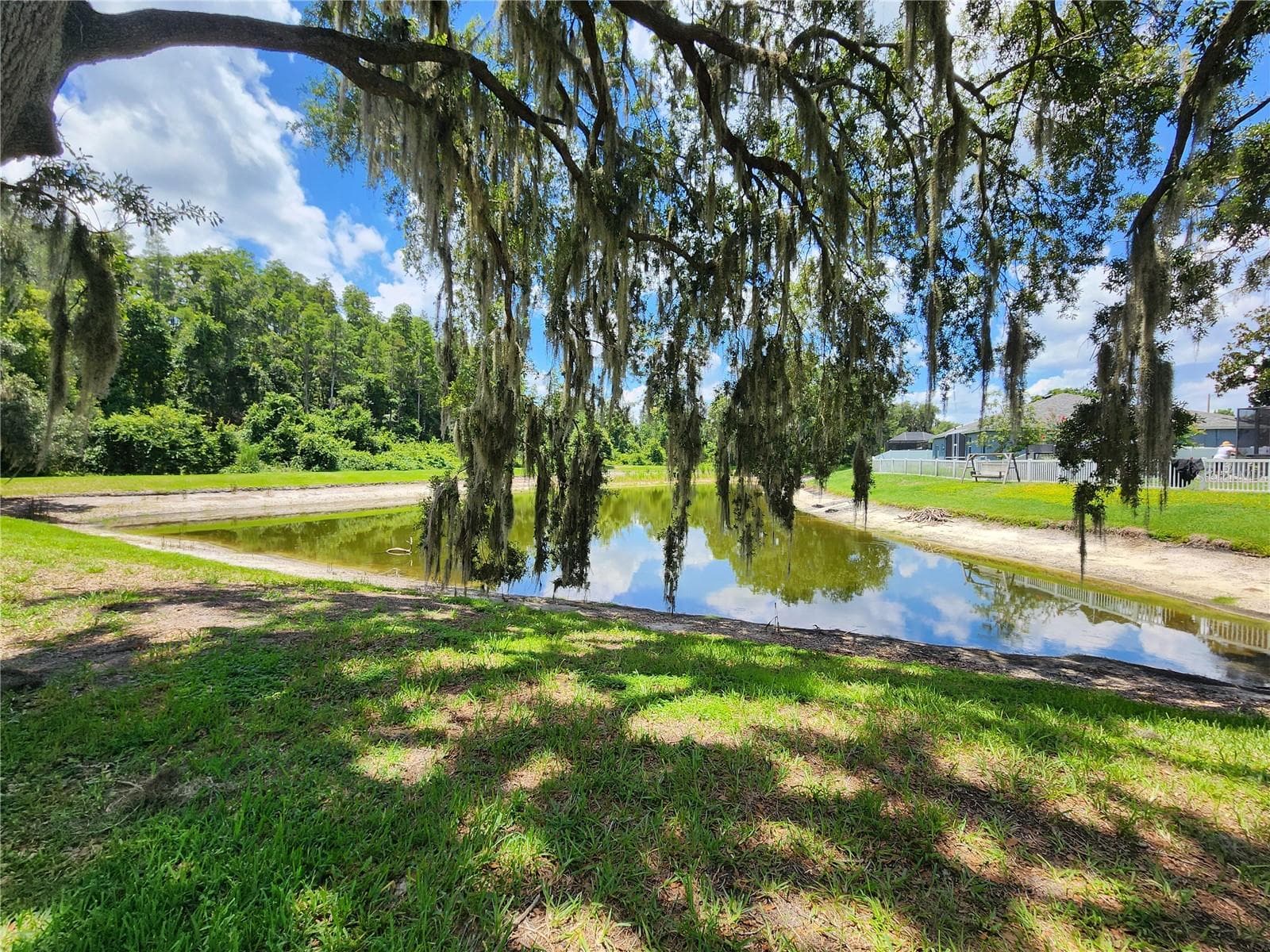 Back yard looking out to pond - 30702 IVERSON DR, WESLEY CHAPEL