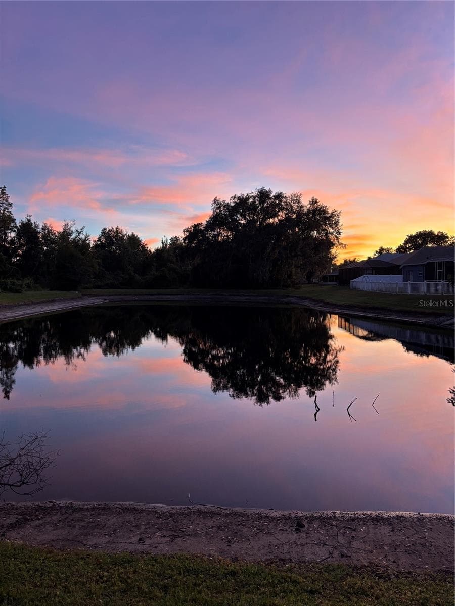Pond at night - 30702 IVERSON DR, WESLEY CHAPEL
