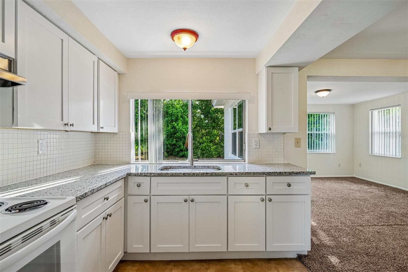 Single Family Residence at 3350 WILTSHIRE DR, HOLIDAY, photo 3 of 38