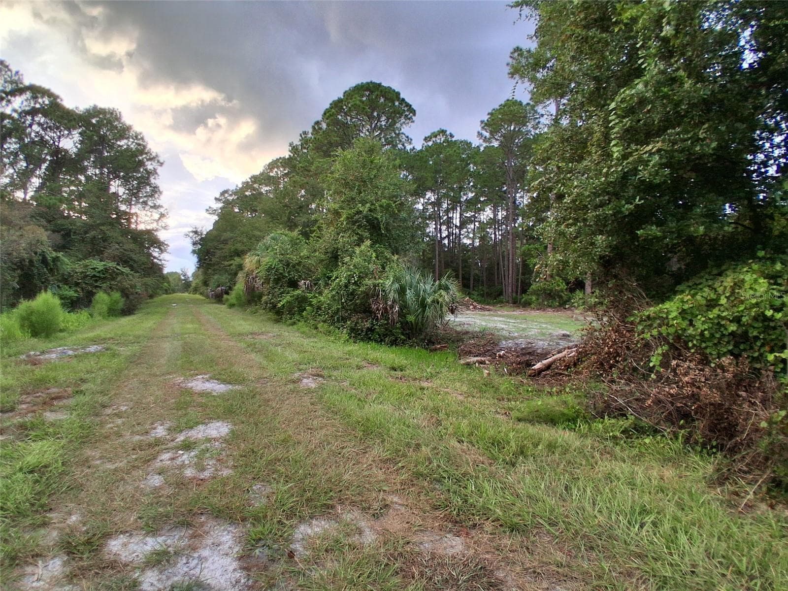 Land at 334 REDWOOD BLVD, GEORGETOWN, photo 8 of 11
