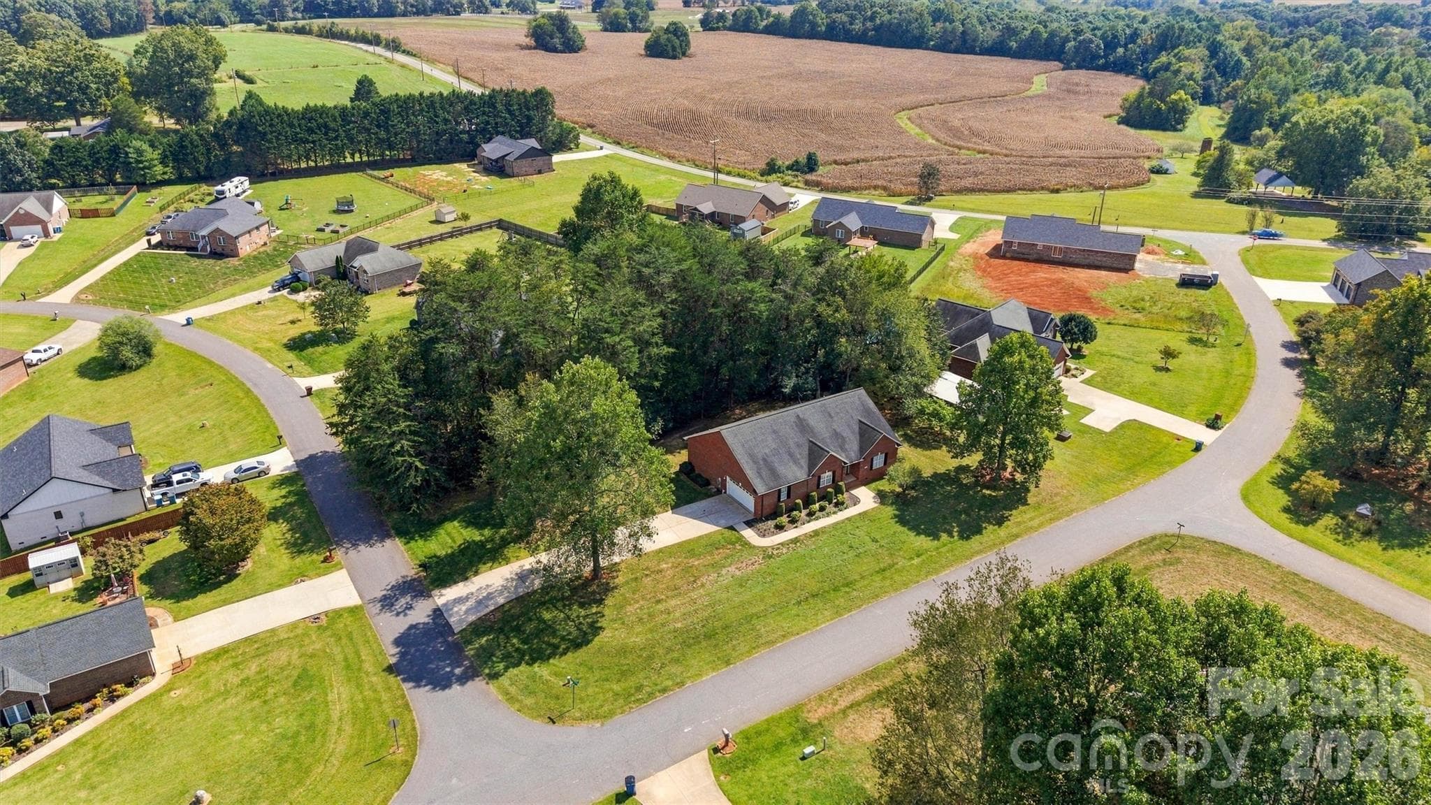 Aerial Side View - 3656 Woodgreen Drive, Lincolnton