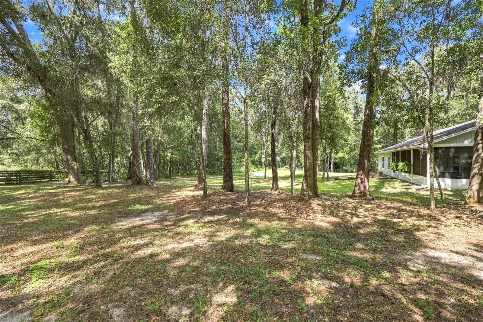 Backyard - 20944 NW 100TH AVENUE RD, MICANOPY