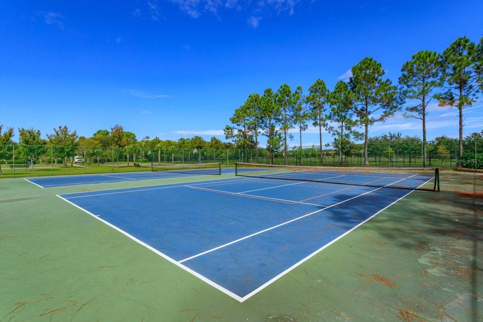 Single Family Residence at 16514 TUDOR GROVE DR, ORLANDO, photo 41 of 43