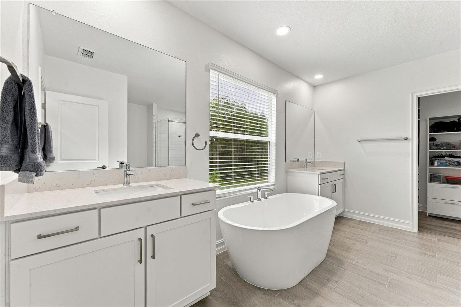 Single Family Residence at 18114 SERENE LAKE LOOP, LUTZ, photo 12 of 29