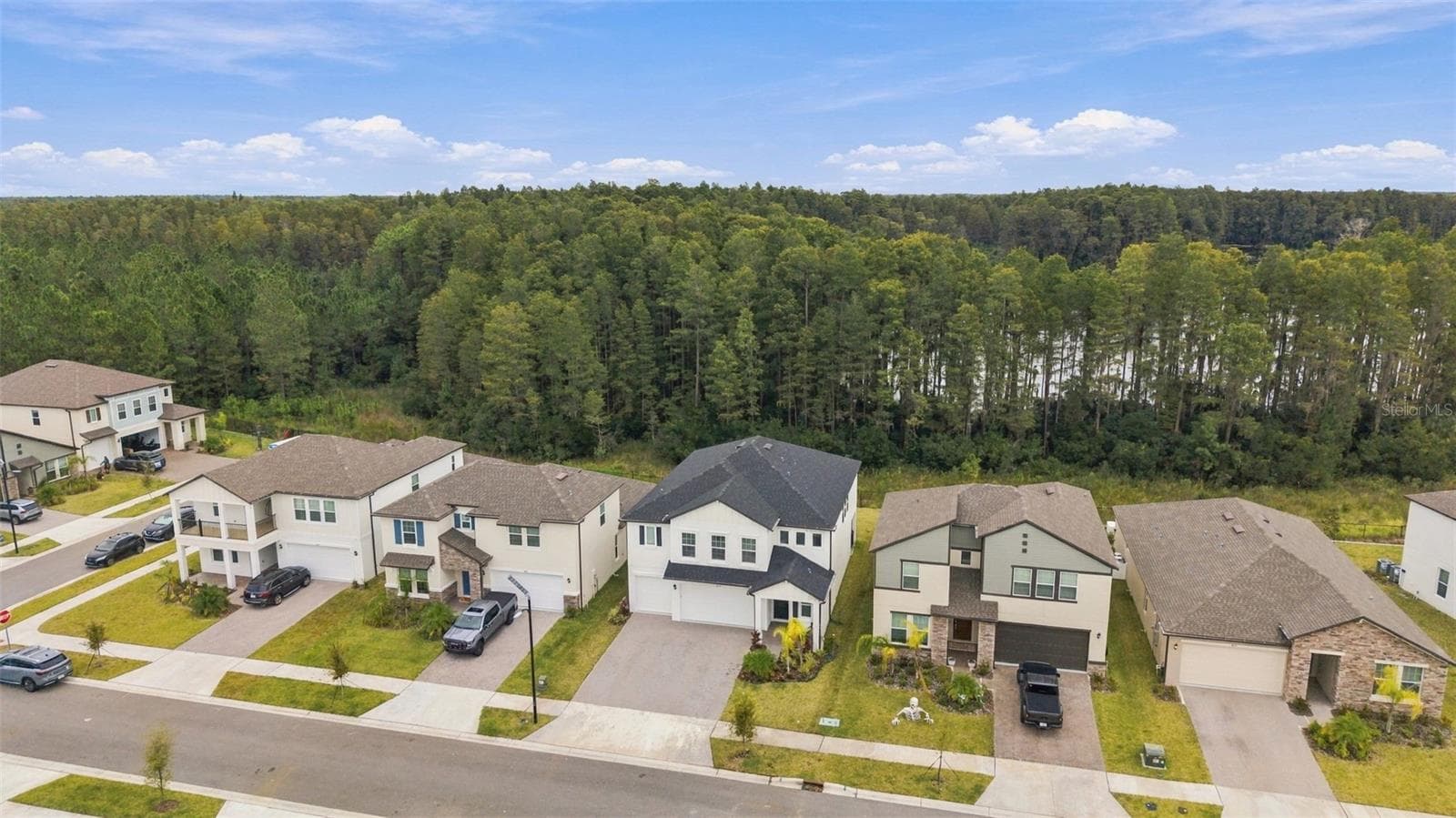 Single Family Residence at 18114 SERENE LAKE LOOP, LUTZ, photo 25 of 29