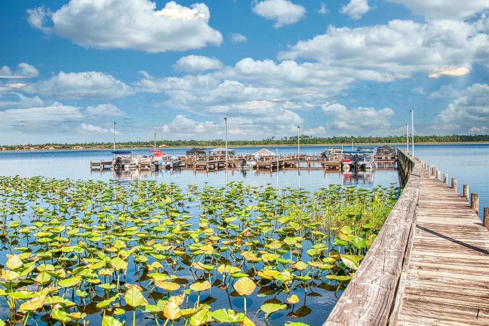 A marina on Lake Ashton has slips for rent. - 4232 DORNOCH DR, LAKE WALES