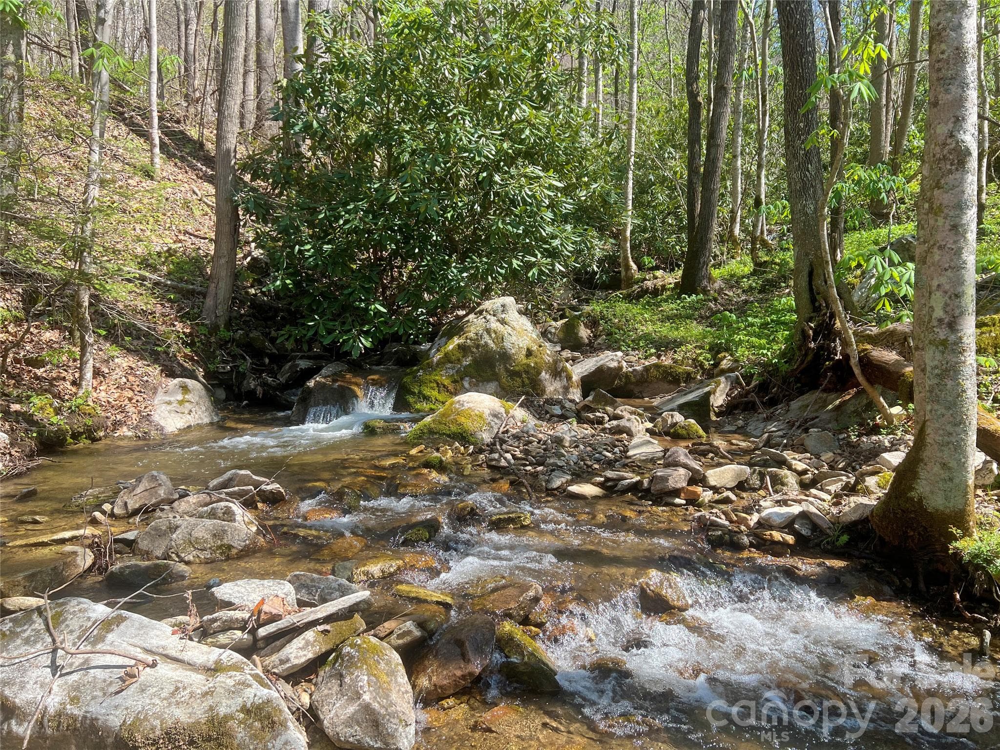 Acreage at TBD Baltimore Branch Road, Hot Springs, photo 2 of 21
