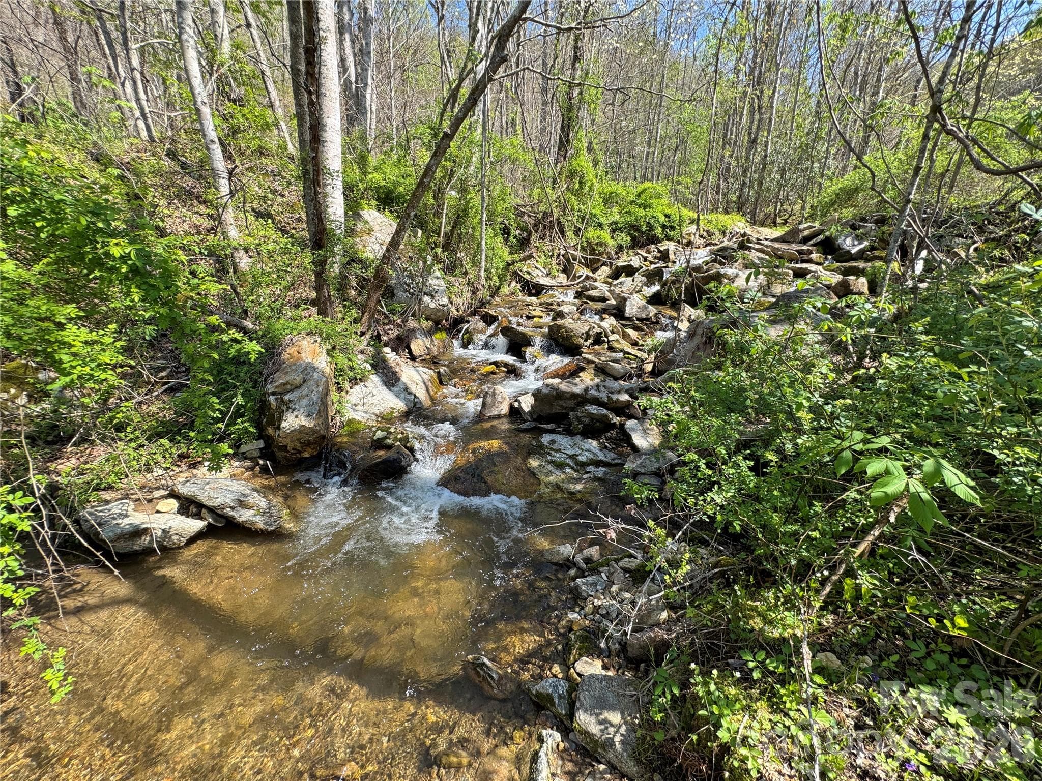 Acreage at TBD Baltimore Branch Road, Hot Springs, photo 3 of 21