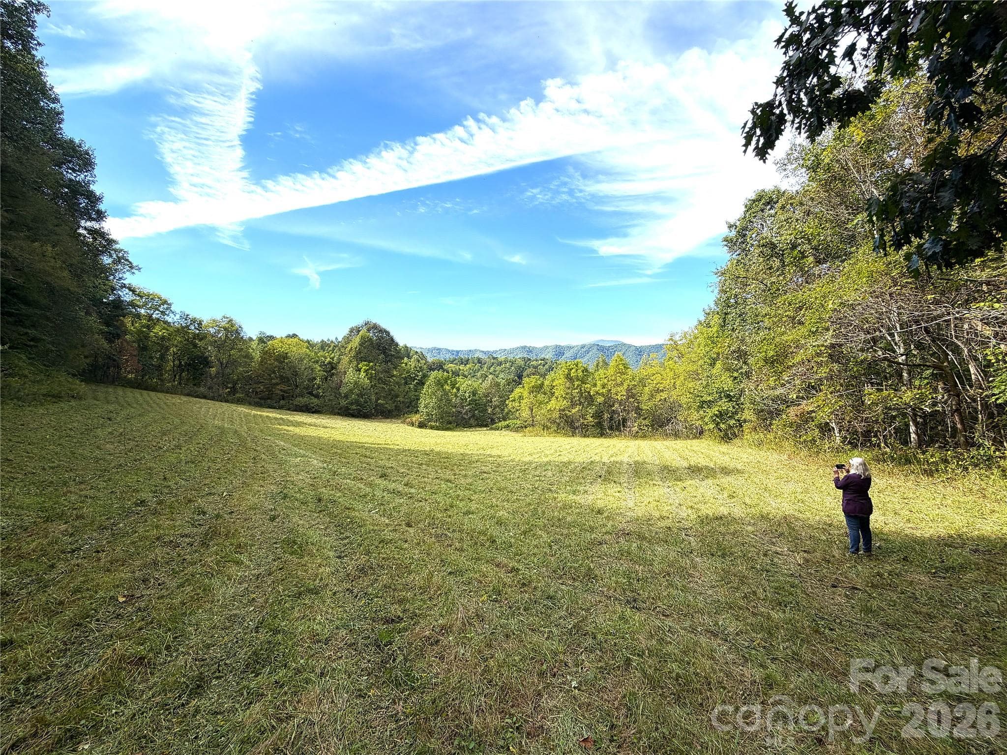 Acreage at TBD Baltimore Branch Road, Hot Springs, photo 8 of 21