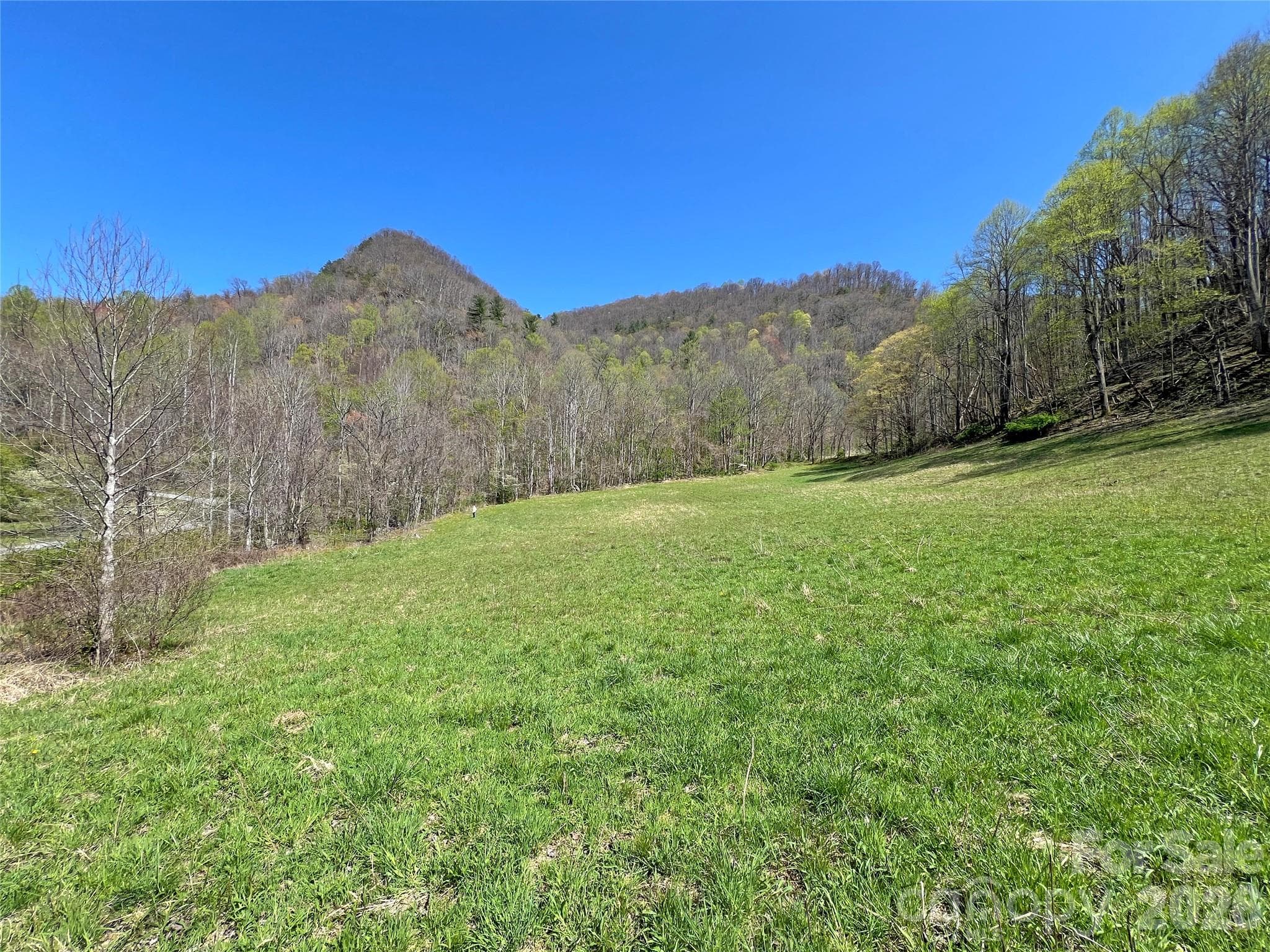 Acreage at TBD Baltimore Branch Road, Hot Springs, photo 9 of 21