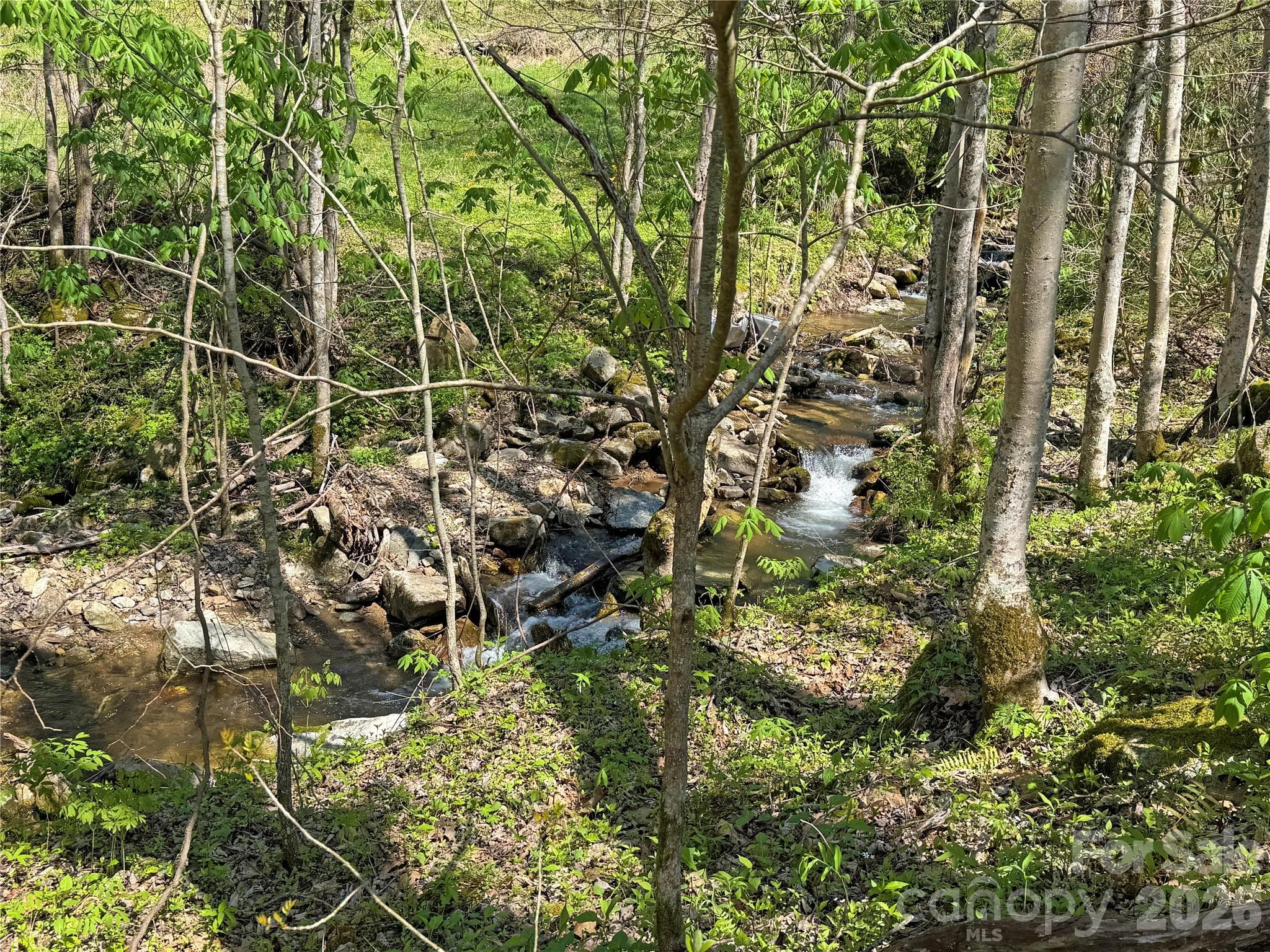 Acreage at TBD Baltimore Branch Road, Hot Springs, photo 15 of 21