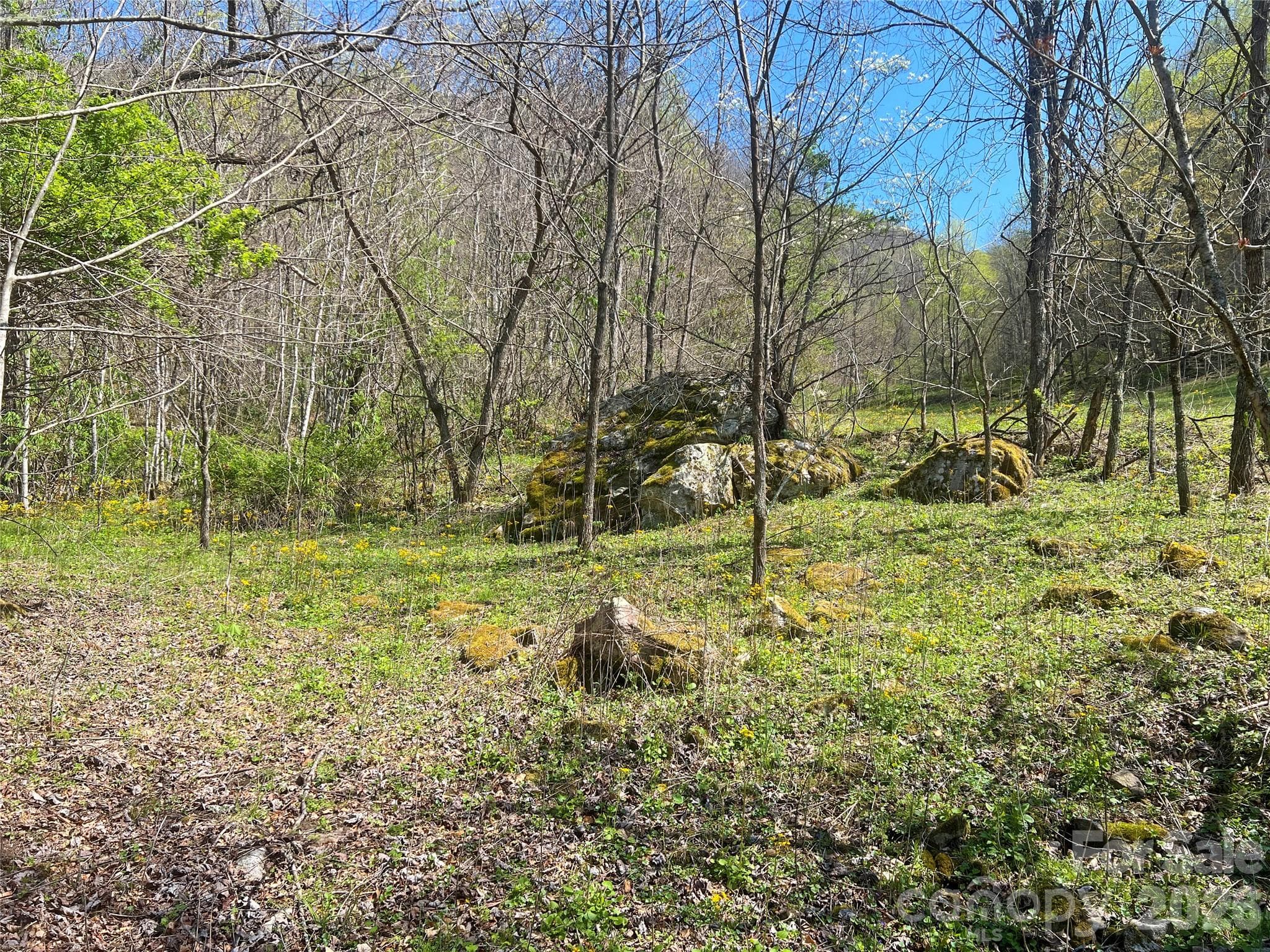 Acreage at TBD Baltimore Branch Road, Hot Springs, photo 7 of 21