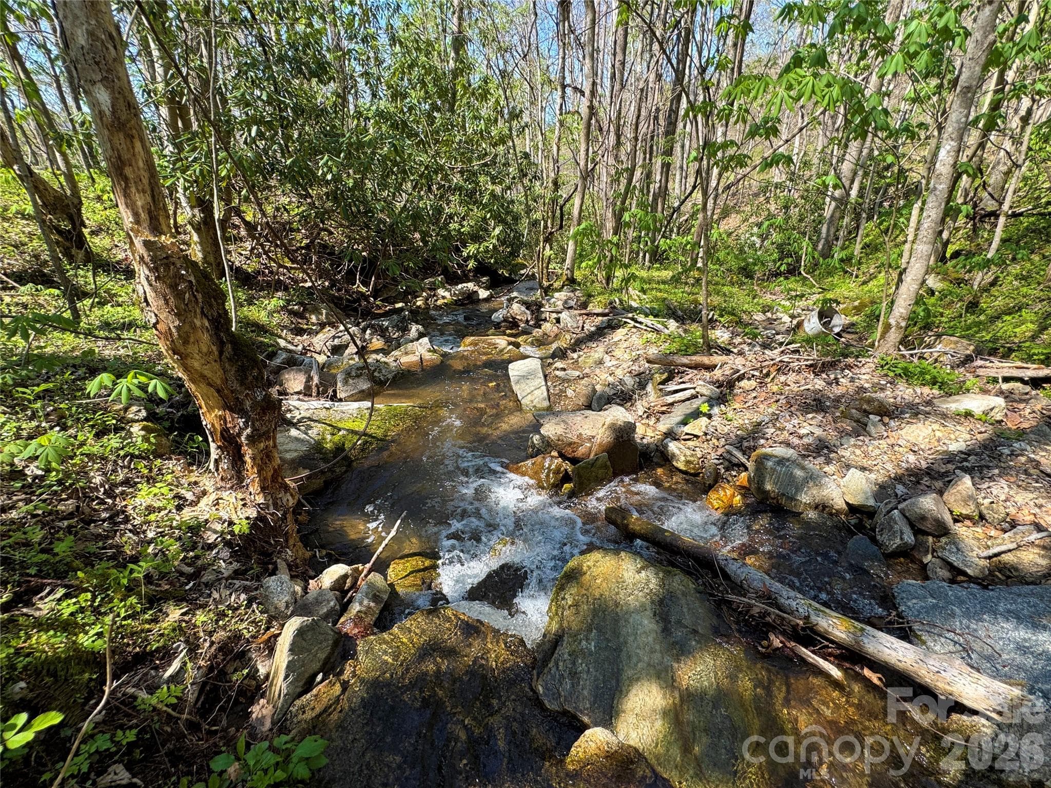 Acreage at TBD Baltimore Branch Road, Hot Springs, photo 18 of 21