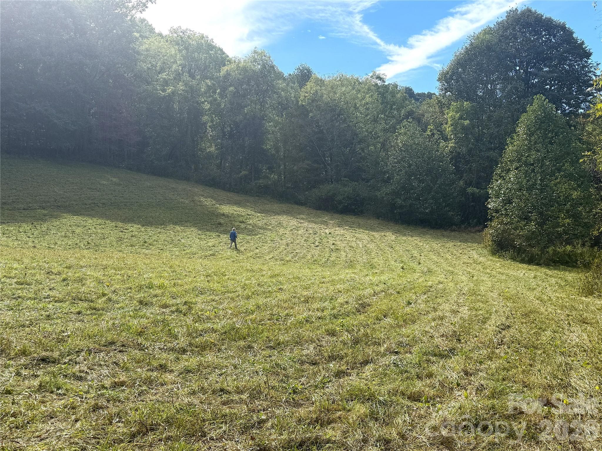 Acreage at TBD Baltimore Branch Road, Hot Springs, photo 10 of 21