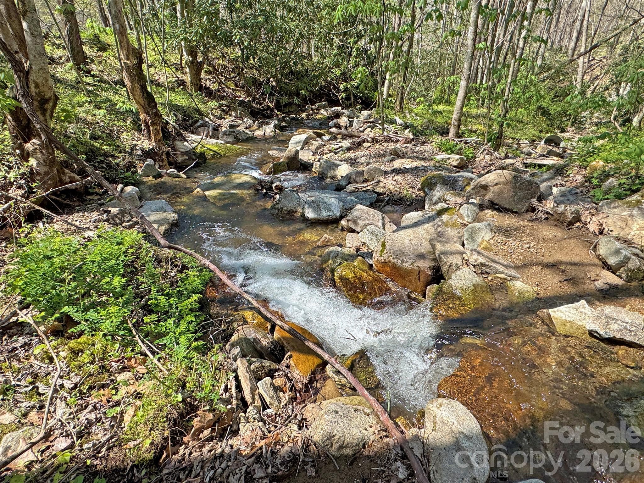 Acreage at TBD Baltimore Branch Road, Hot Springs, photo 19 of 21
