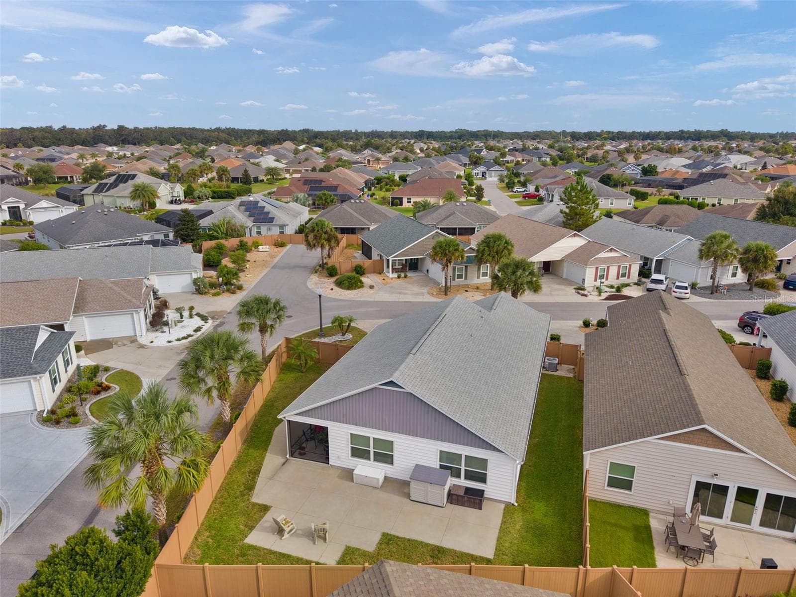 The pups will love you for the green space to run & play! - 3144 ROBBS RD, THE VILLAGES
