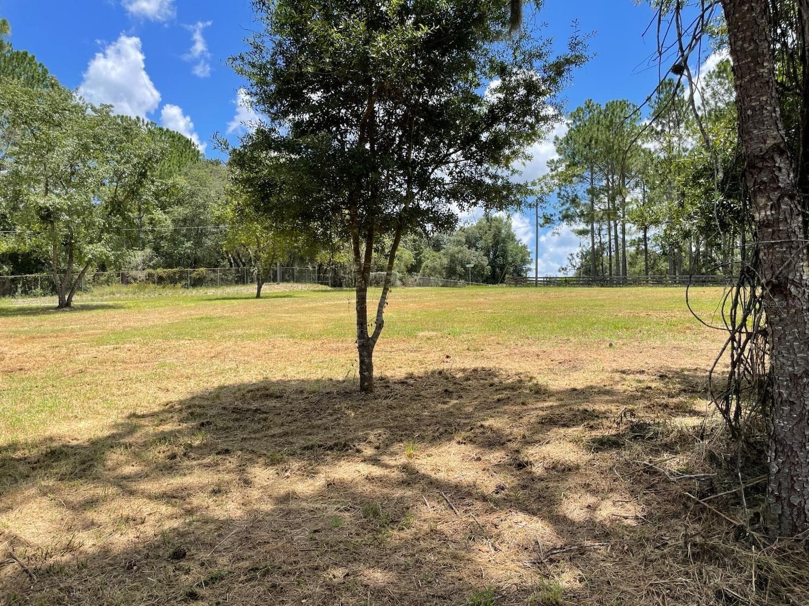 Land at CALHOUN RD, EUSTIS, photo 3 of 11