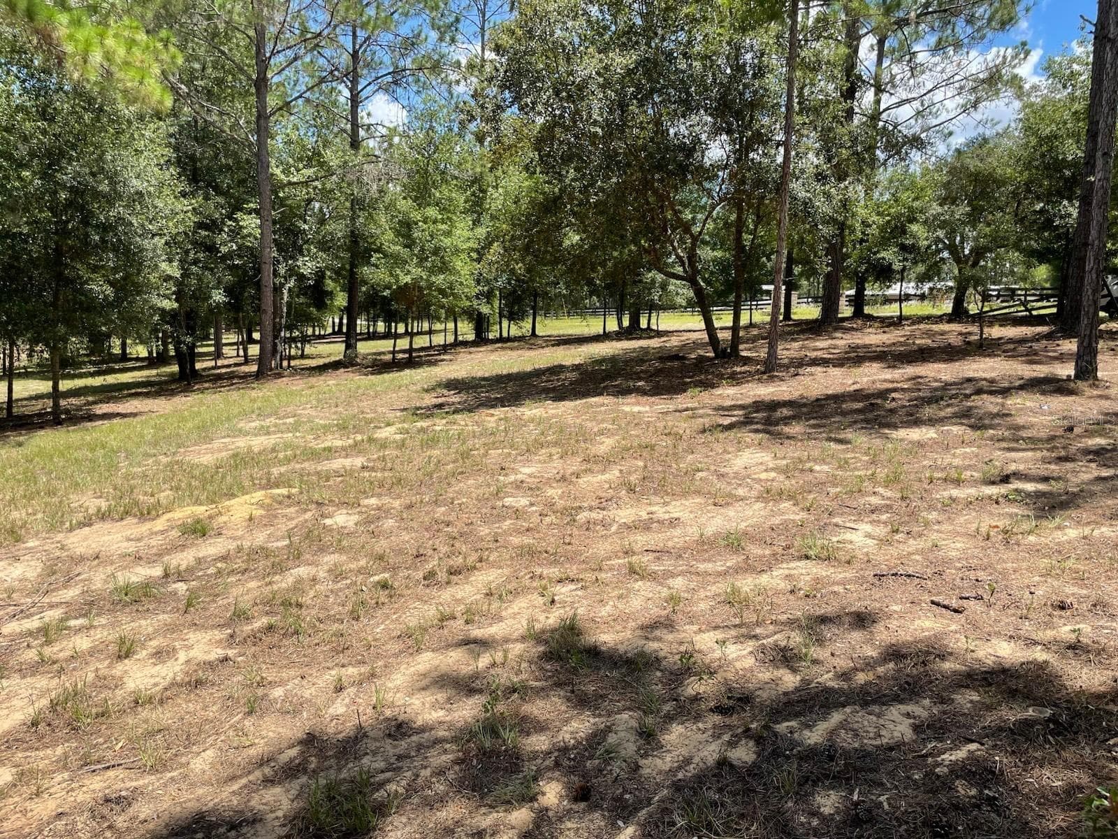 Land at CALHOUN RD, EUSTIS, photo 4 of 11