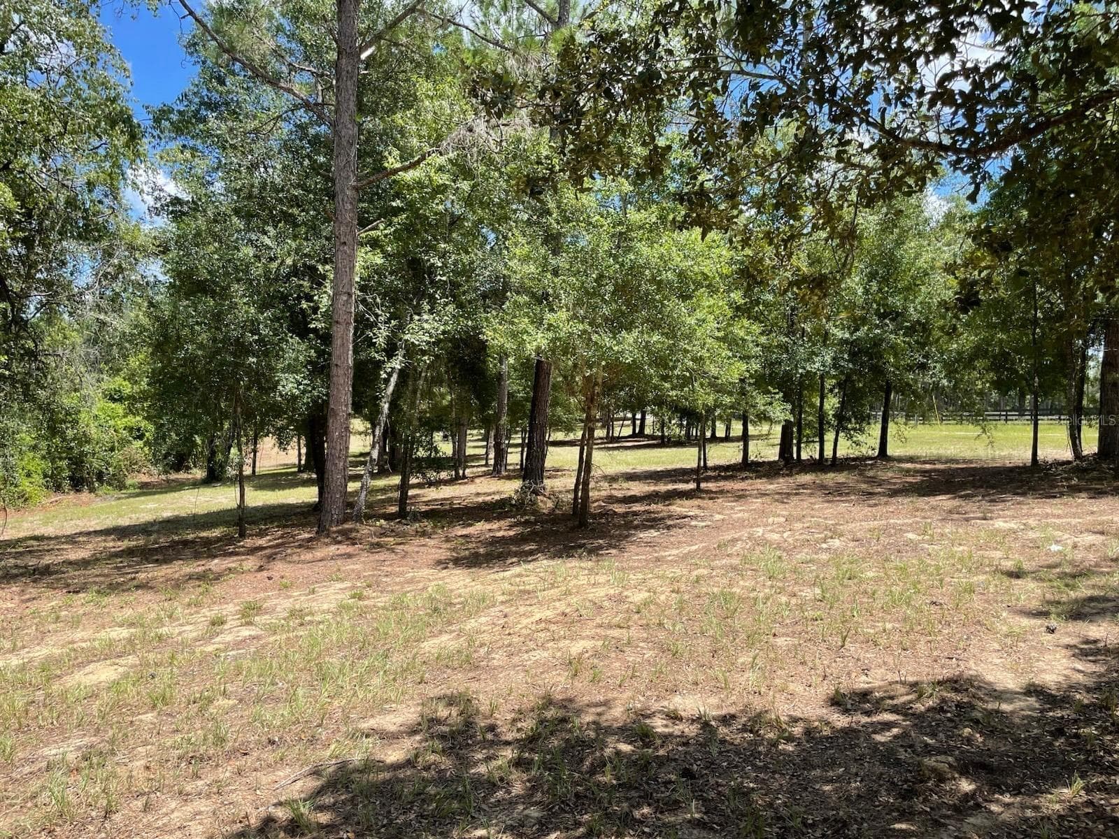 Land at CALHOUN RD, EUSTIS, photo 6 of 11