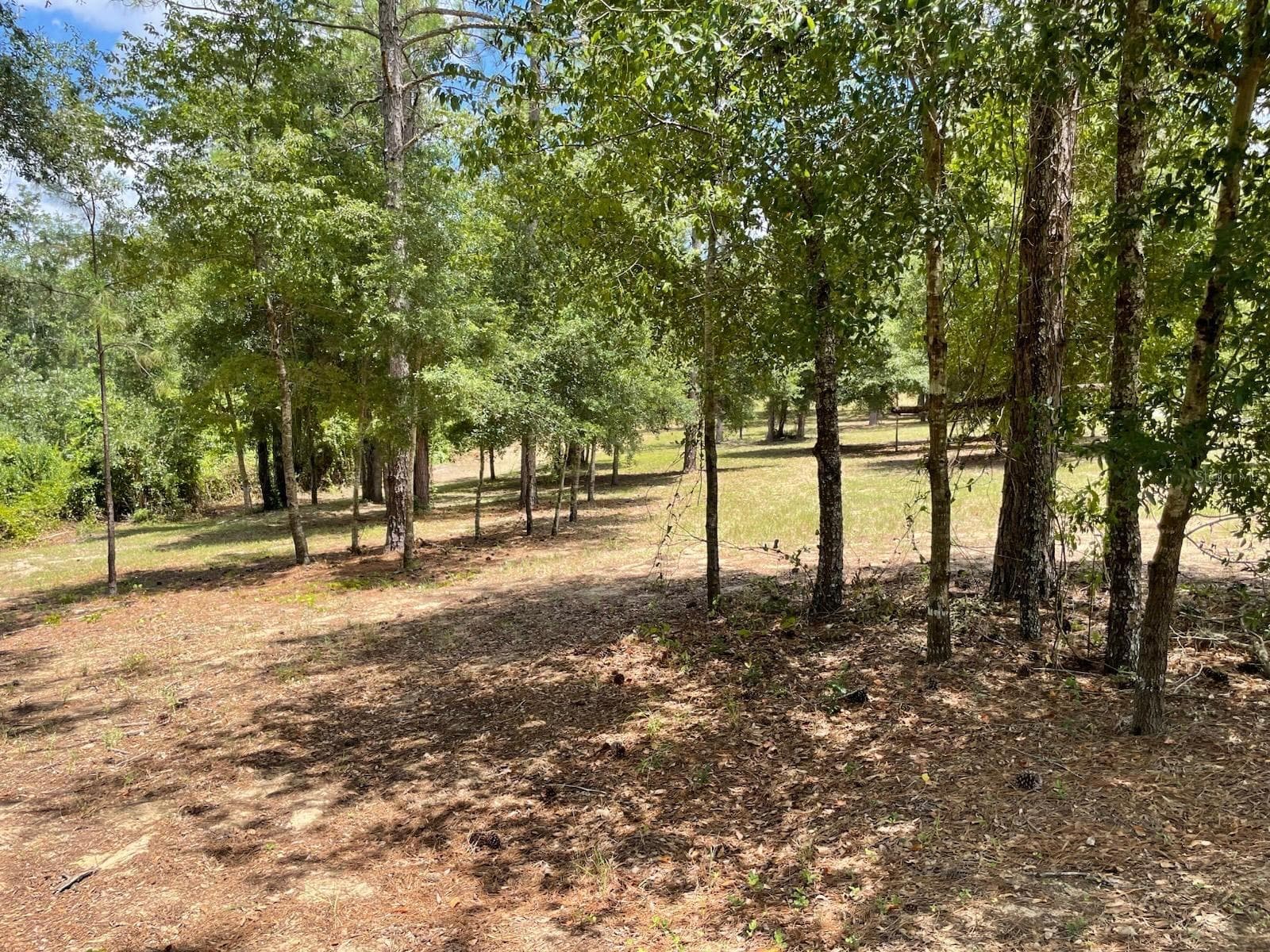 Land at CALHOUN RD, EUSTIS, photo 7 of 11