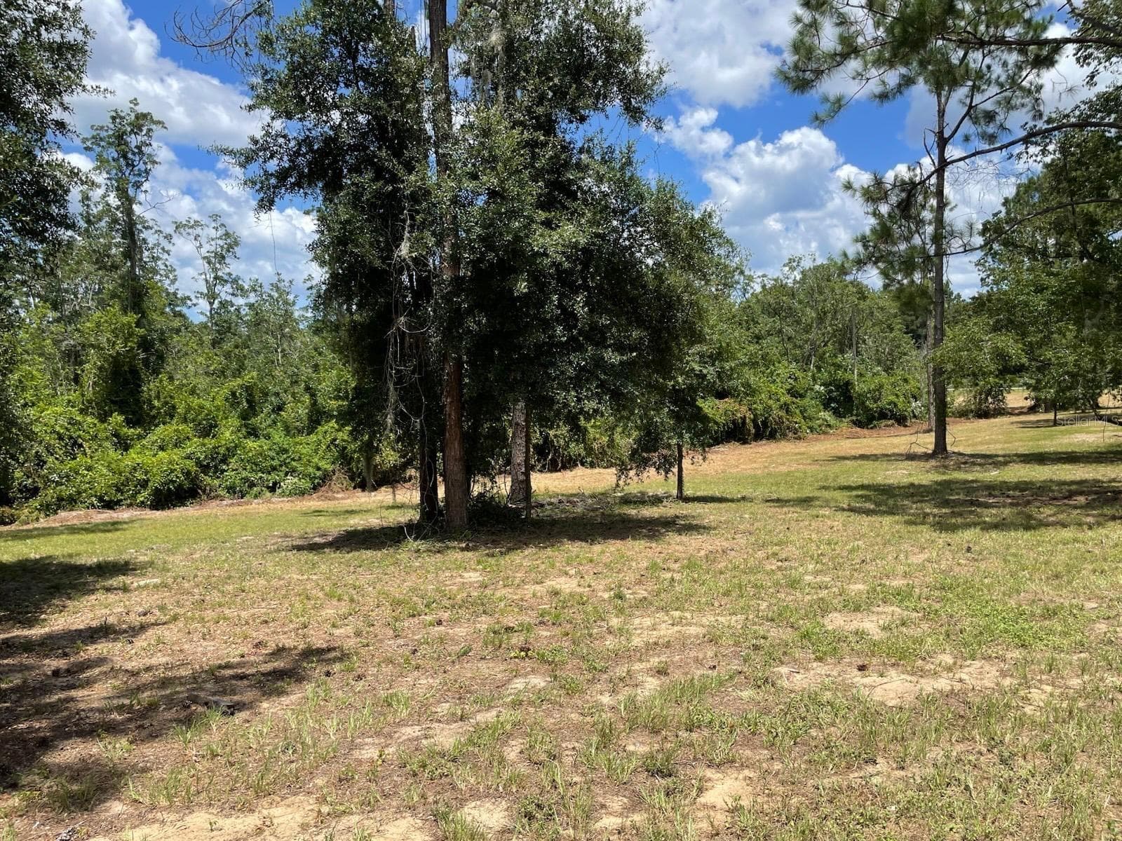 Land at CALHOUN RD, EUSTIS, photo 9 of 11