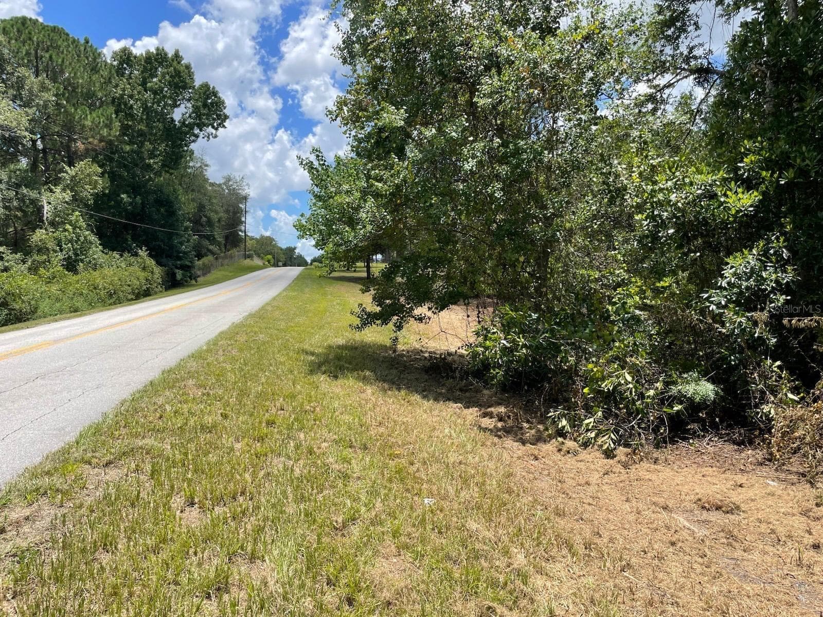 Land at CALHOUN RD, EUSTIS, photo 10 of 11