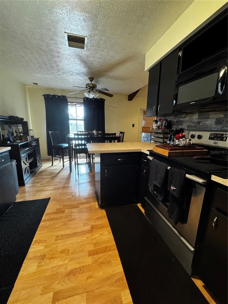 Single Family Residence at 118 EUCLID LOOP, SEFFNER, photo 11 of 47