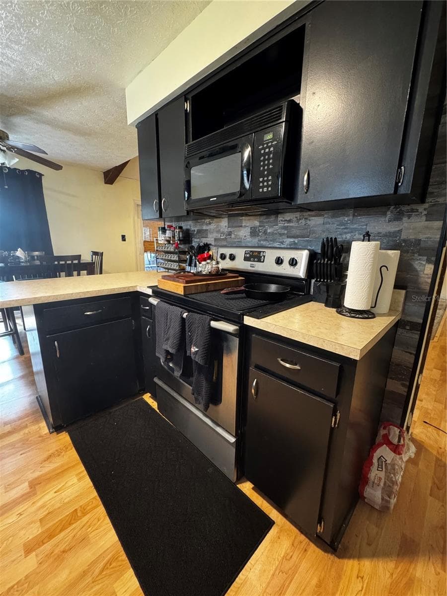 Single Family Residence at 118 EUCLID LOOP, SEFFNER, photo 13 of 47