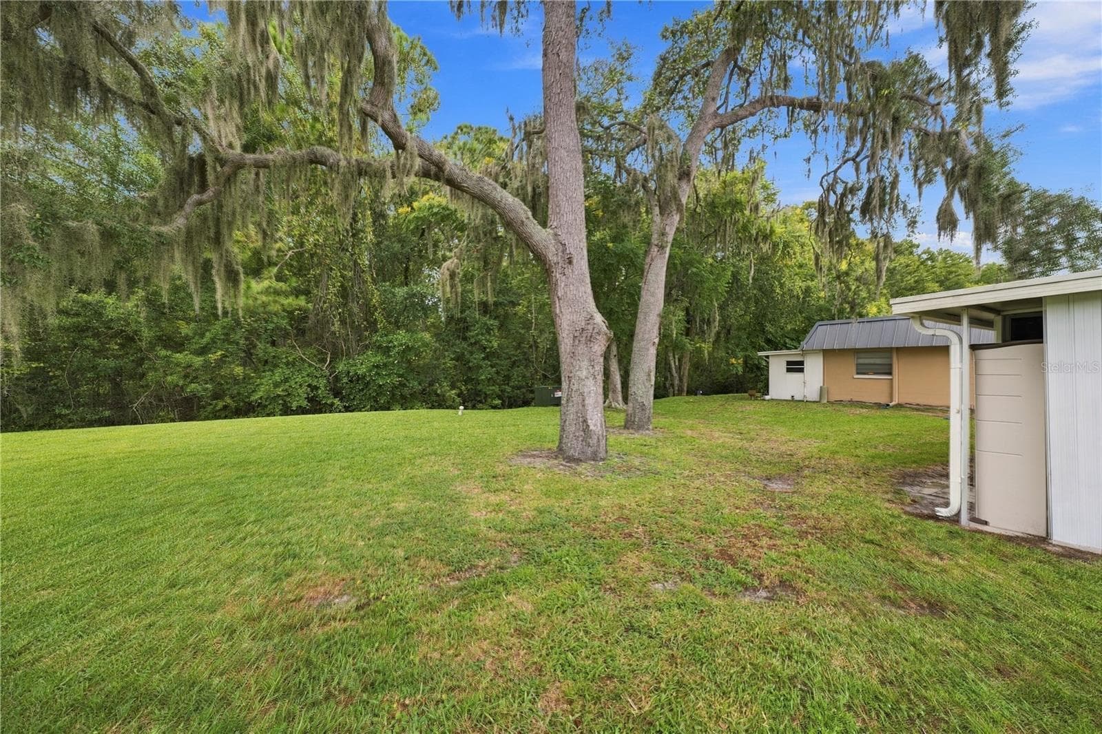 Rear of home - 11733 BAYONET LN, NEW PORT RICHEY