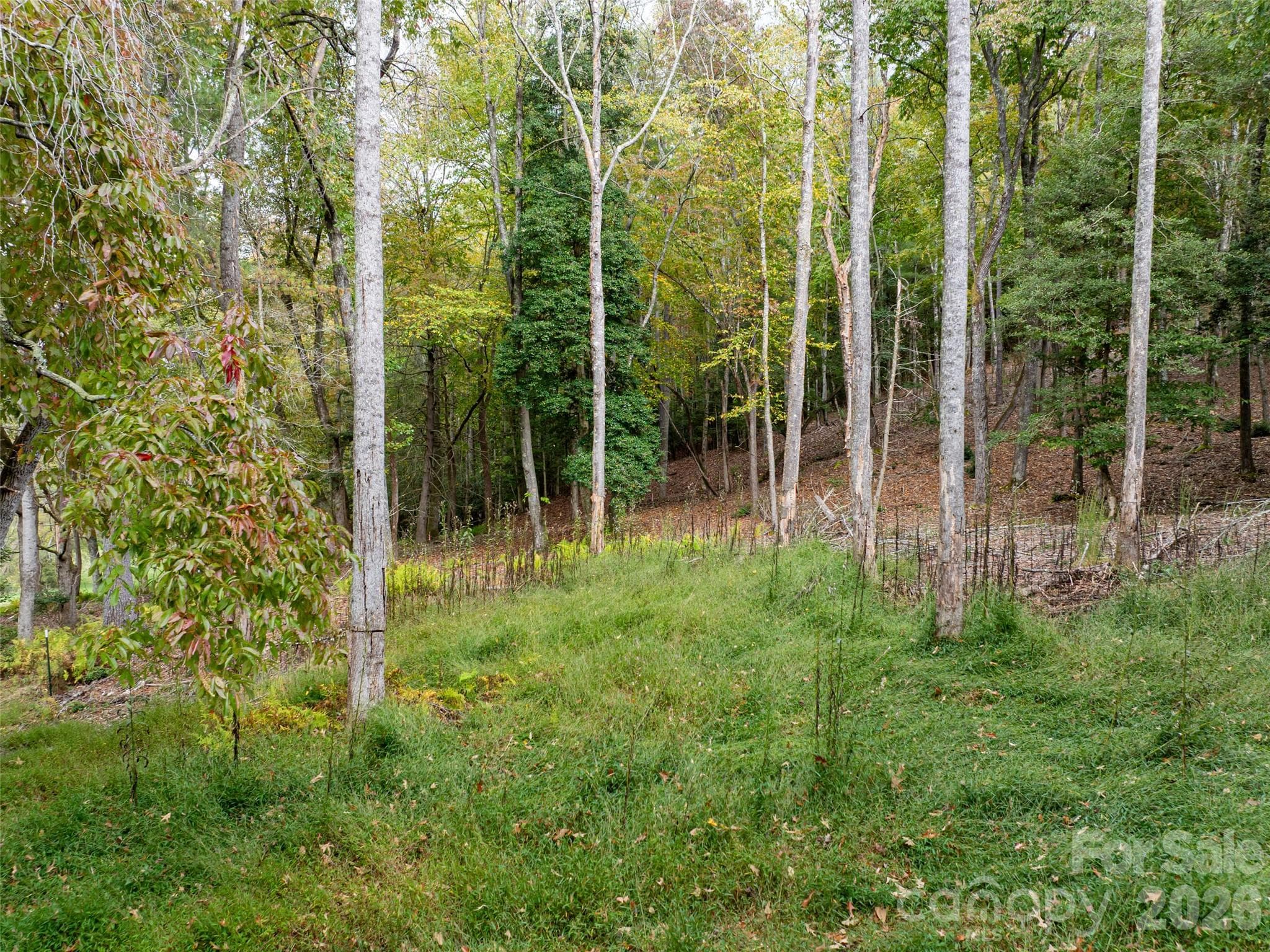 Single Family Residence at 71 Happy Valley Drive, Mills River, photo 68 of 92