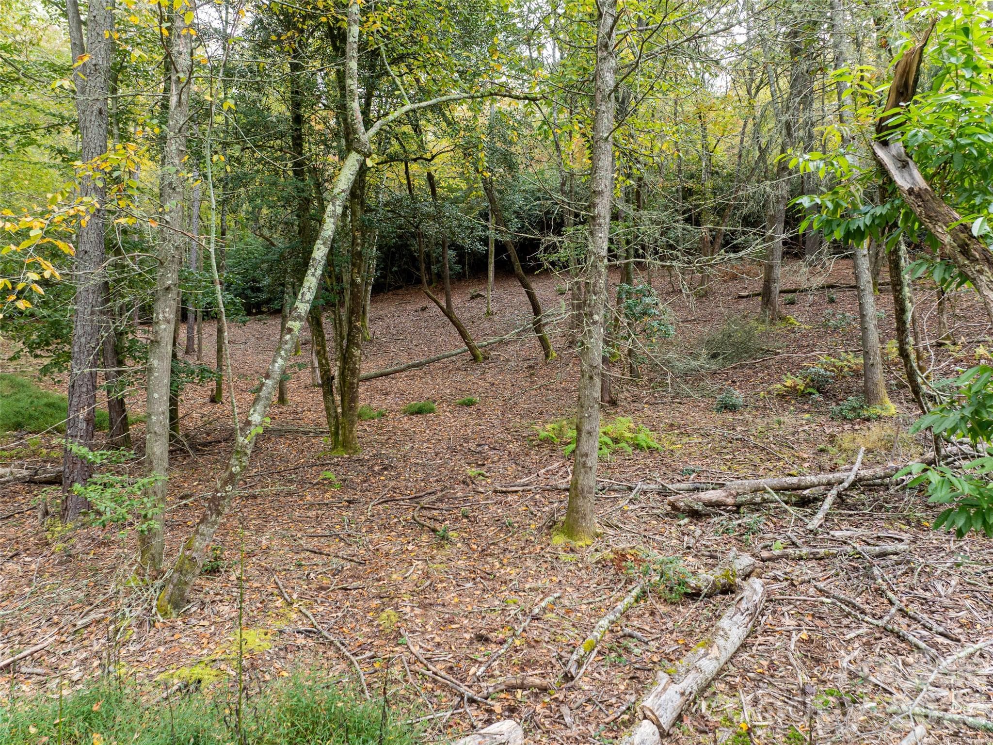 Acreage at 71 Happy Valley Drive, Mills River, photo 15 of 46