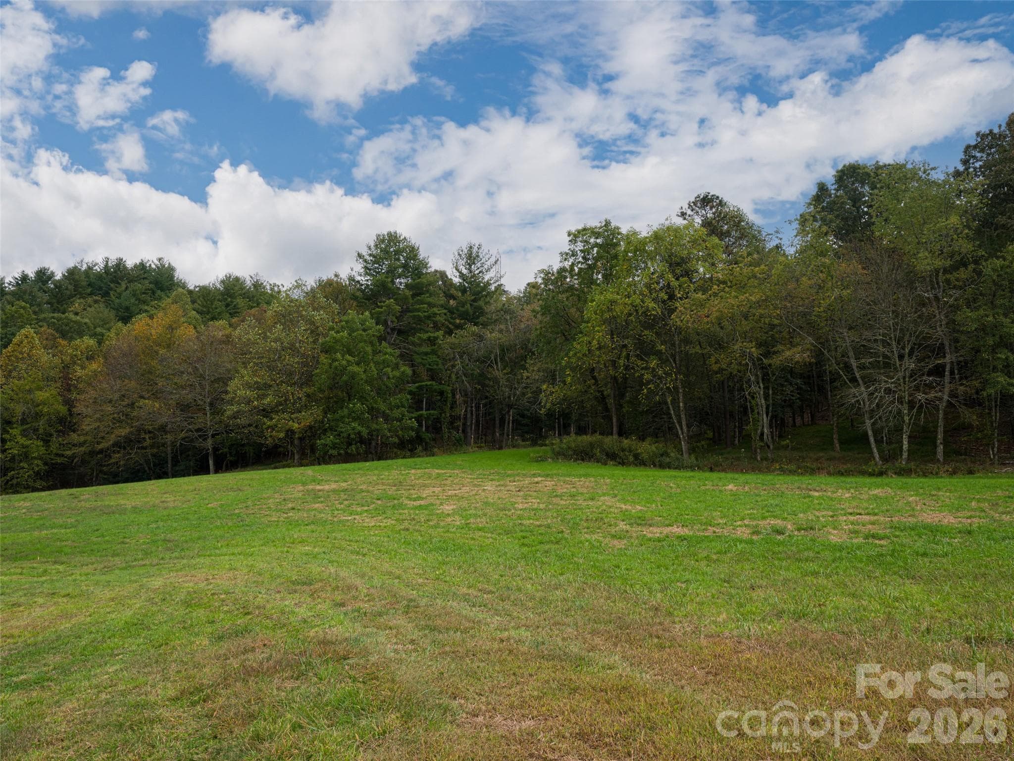 Acreage at 71 Happy Valley Drive, Mills River, photo 22 of 46