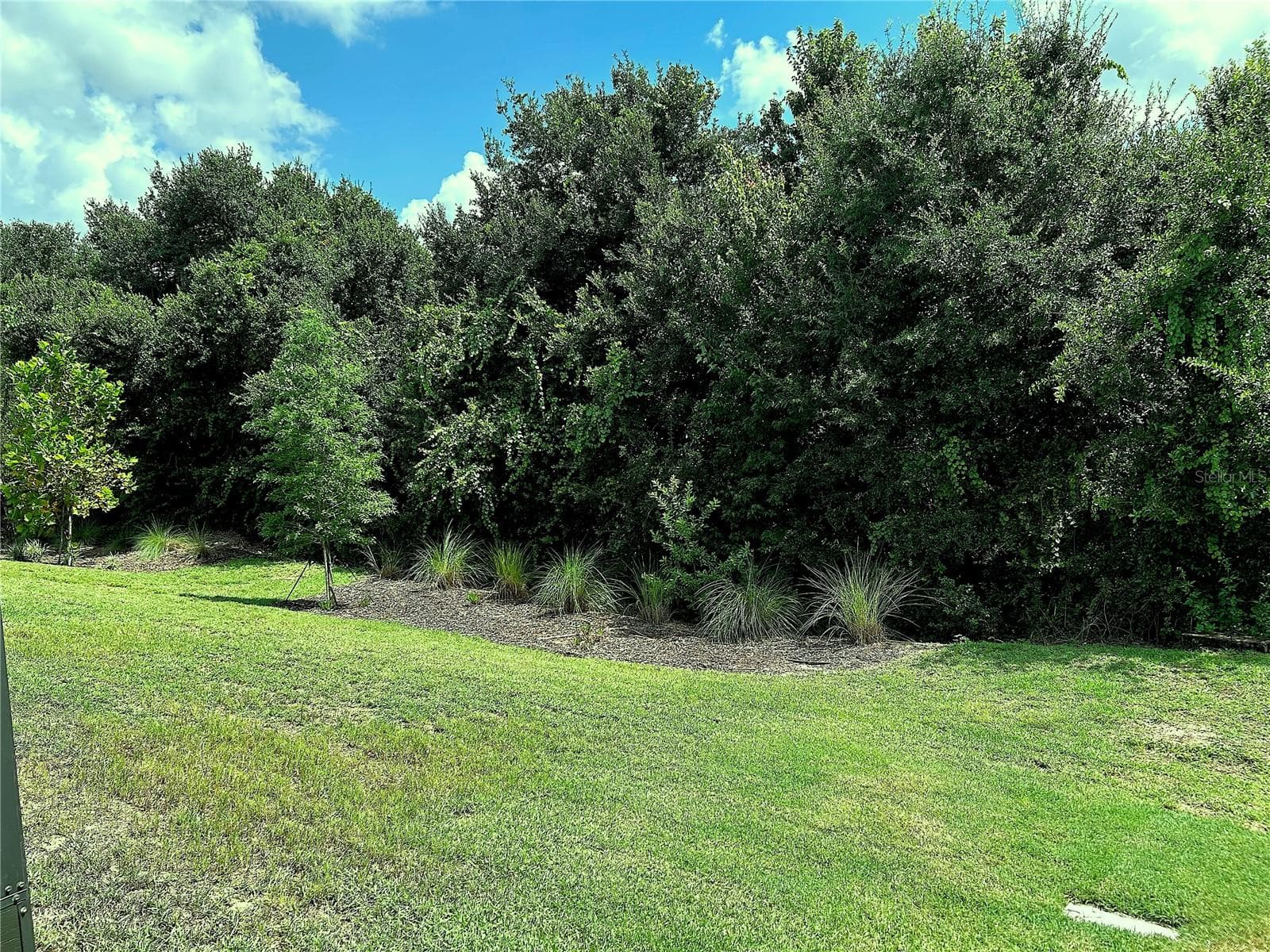 Back yard - 1999 LIMESTONE TRL, KISSIMMEE