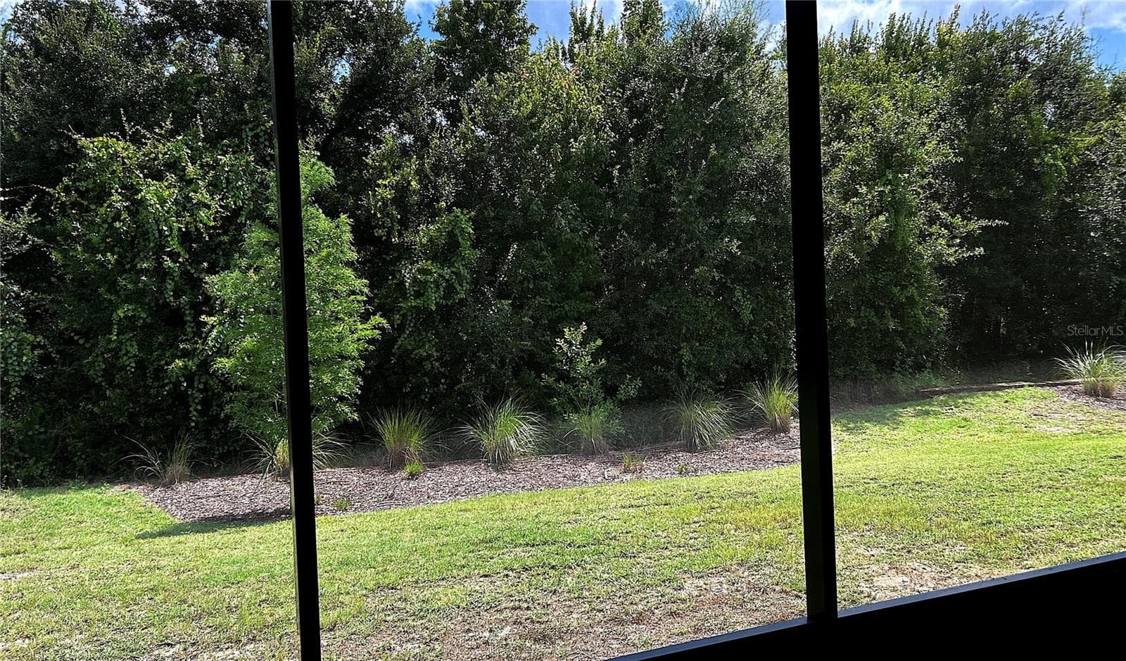 Back yard - 1999 LIMESTONE TRL, KISSIMMEE