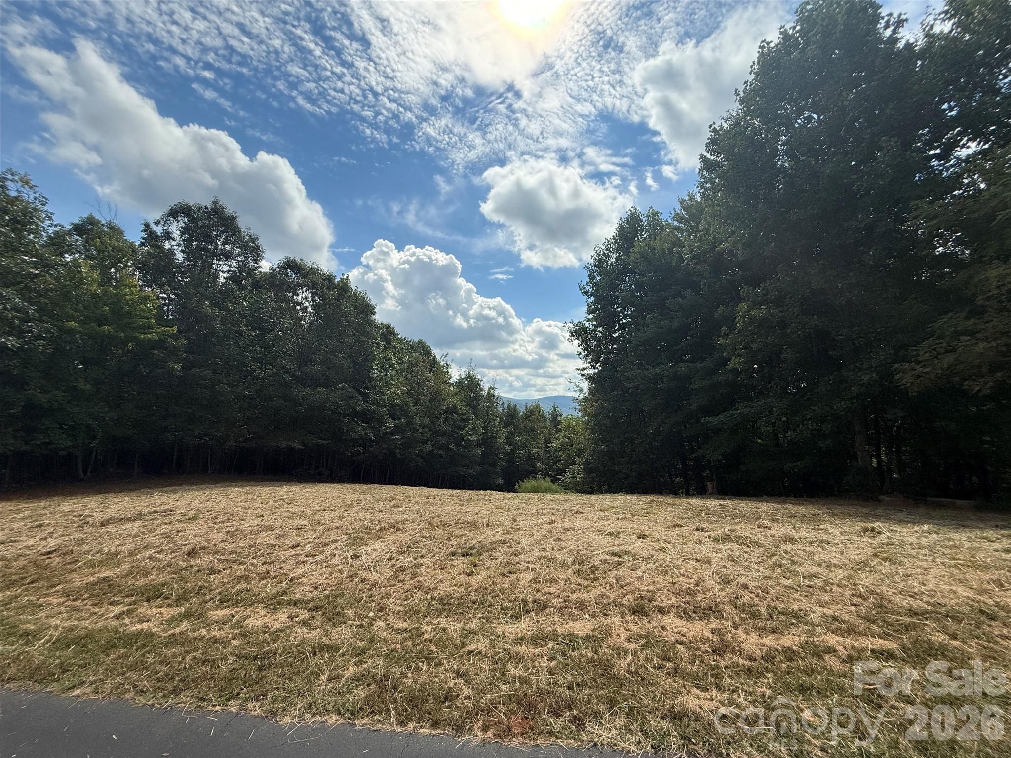 View taken of cleared area at the beginning of October after grass was cut. - 00 Stratford Drive, Bostic