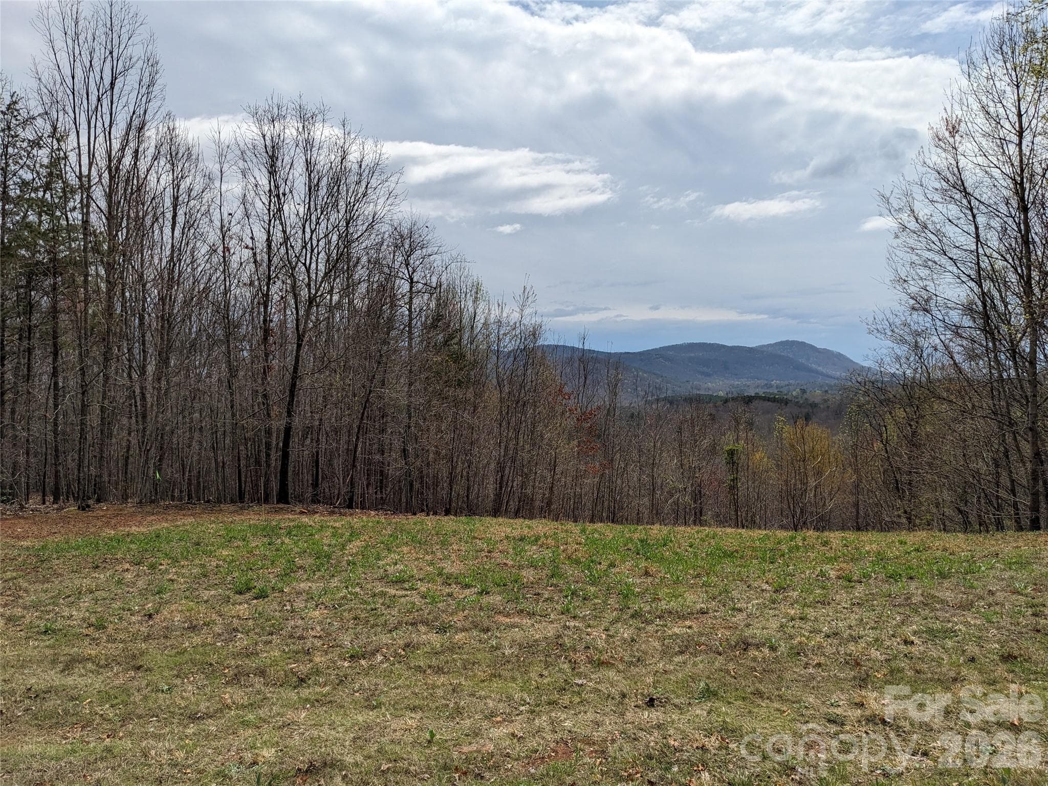 View of cleared area in the Winter. - 00 Stratford Drive, Bostic