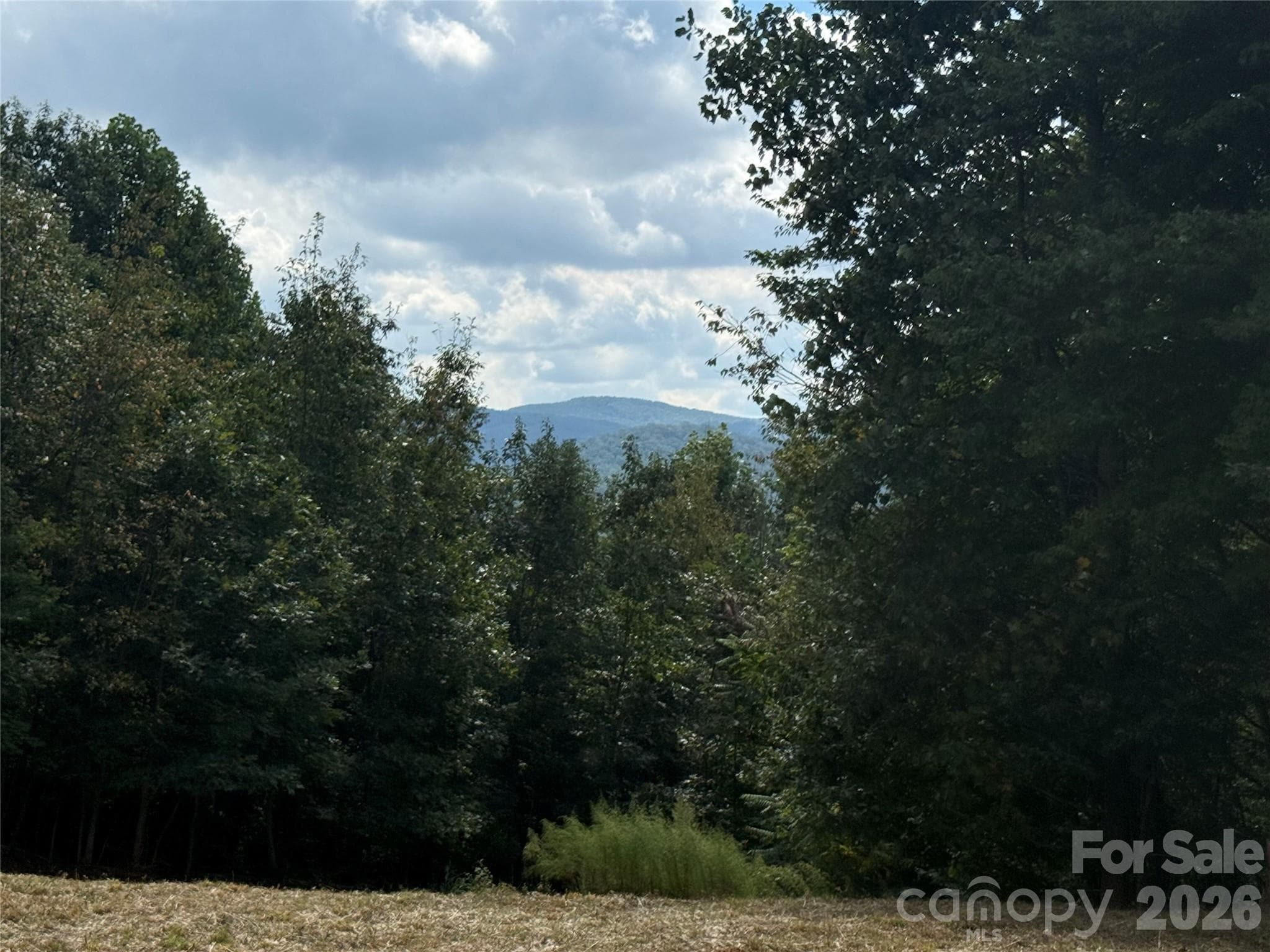 Lot at 00 Stratford Drive, Bostic, photo 7 of 11