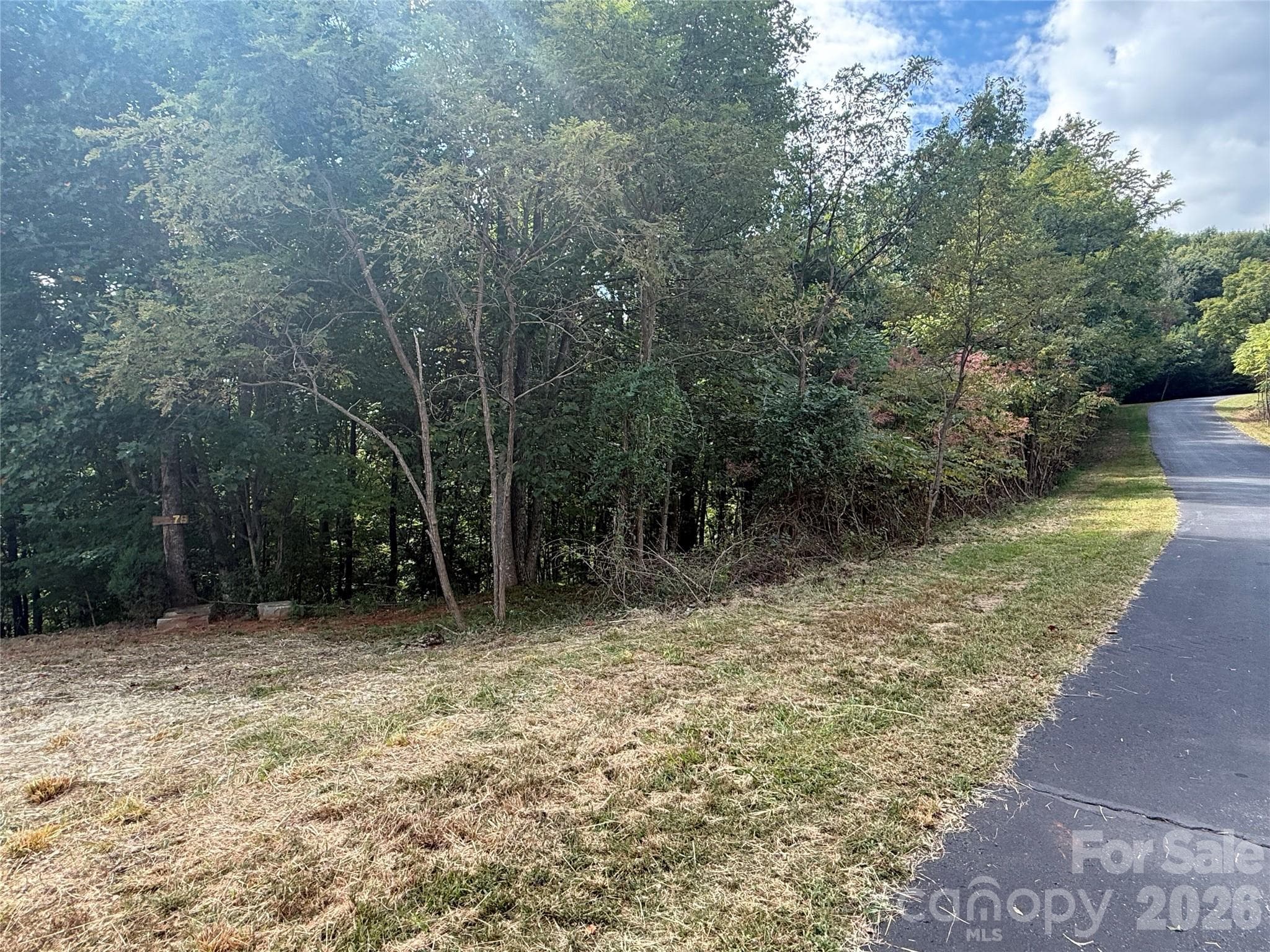 Right side of the lot includes an uncleared area. - 00 Stratford Drive, Bostic