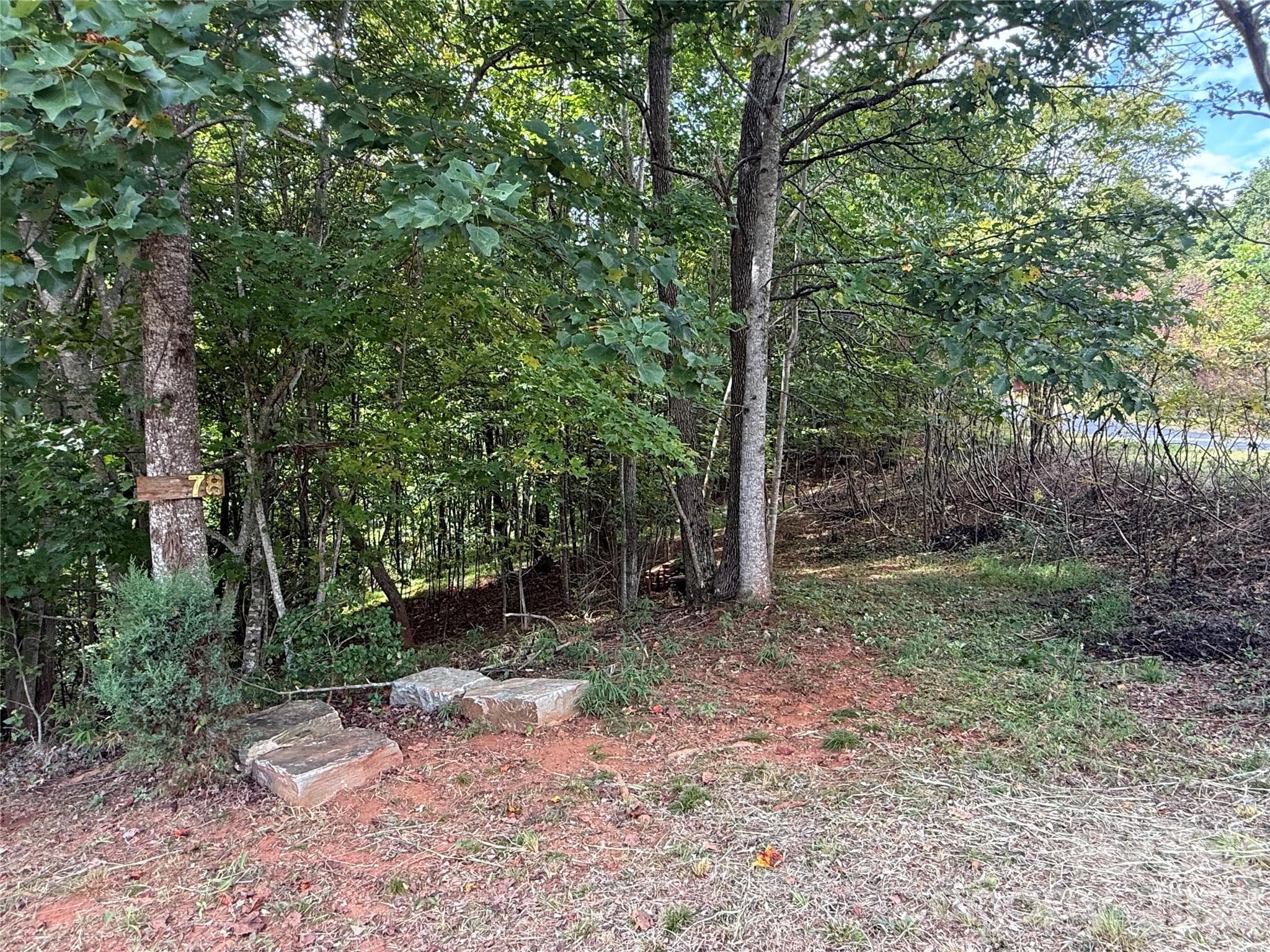 To the right of the cleared area is potentially more space to be cleared, if desired. - 00 Stratford Drive, Bostic