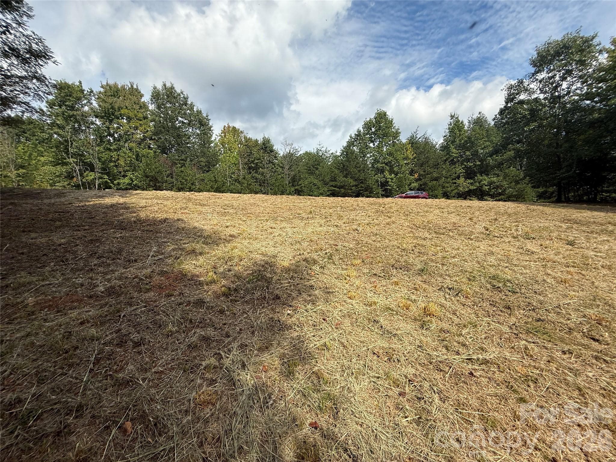 View looking from back of cleared area toward the road. - 00 Stratford Drive, Bostic
