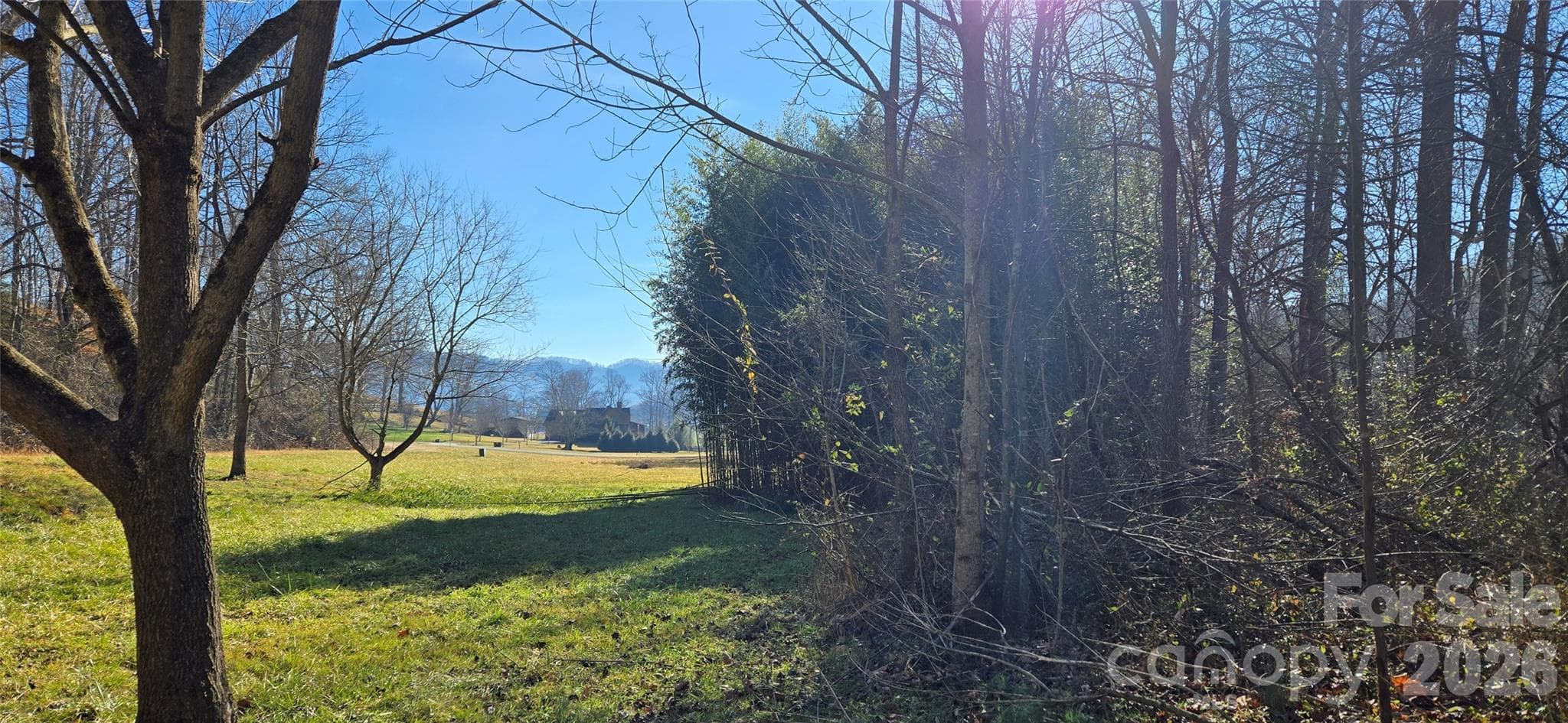Lot at Waynesville, photo 2 of 58