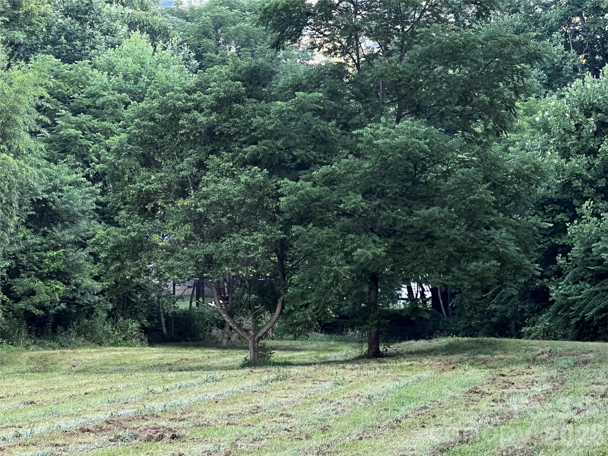 Lot at Waynesville, photo 4 of 58