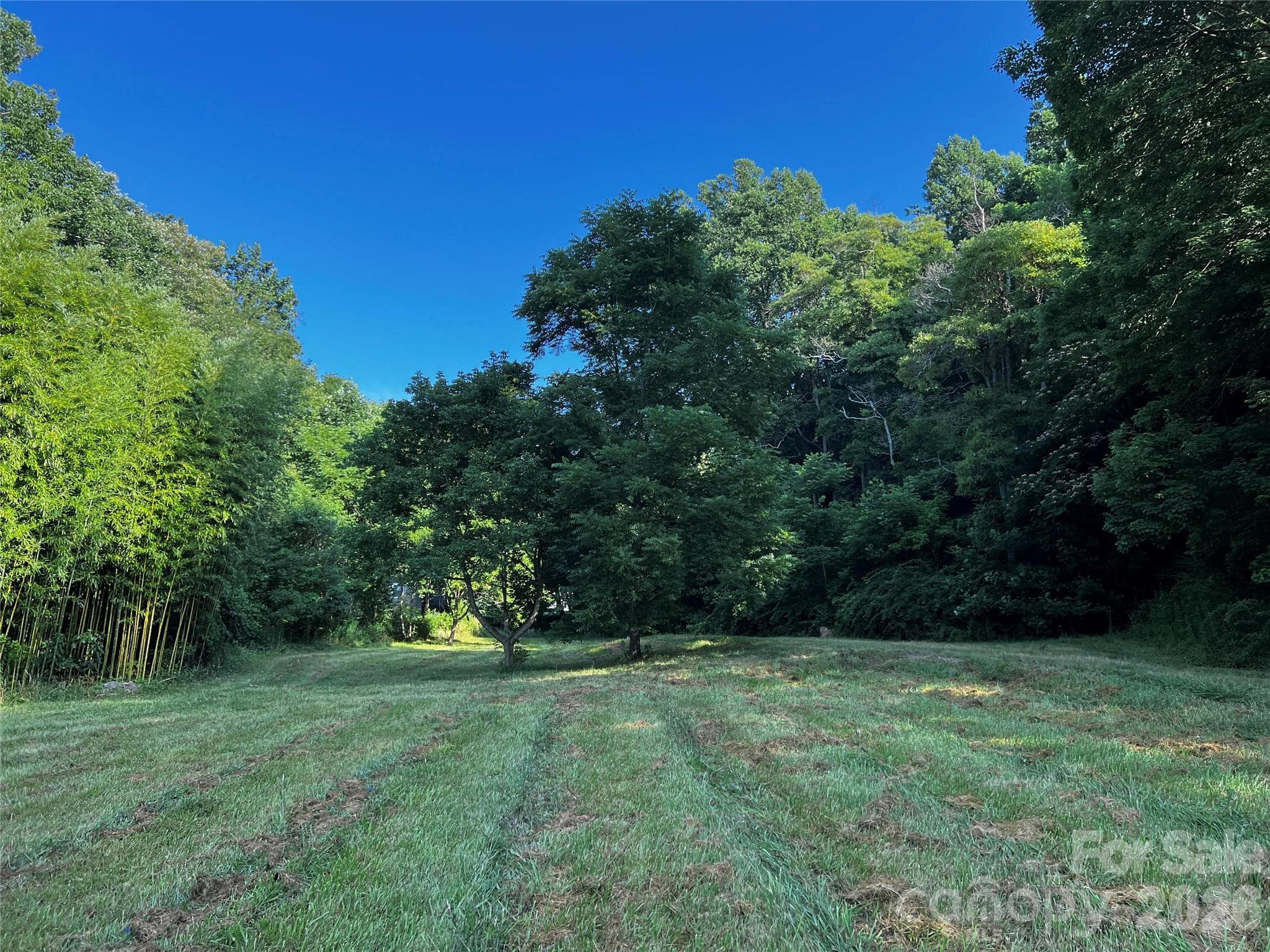 Lot at Waynesville, photo 6 of 58