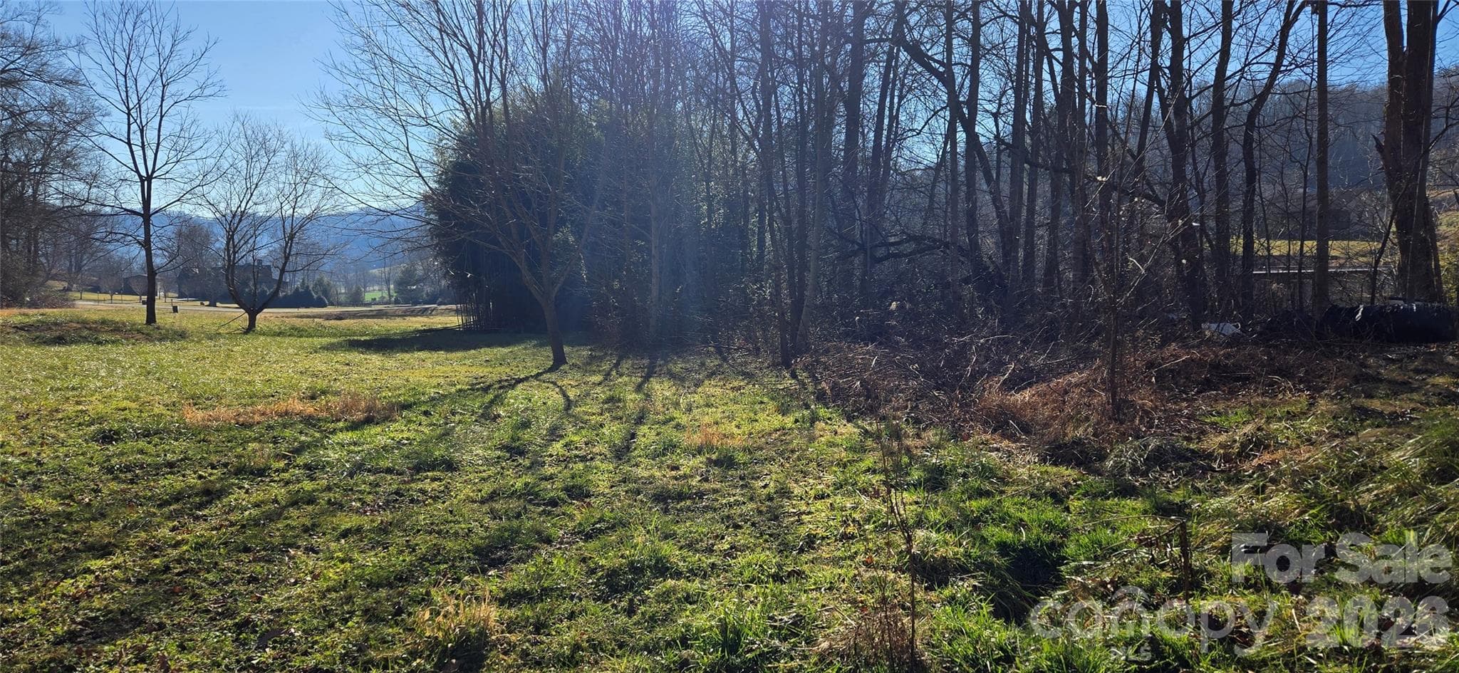 Lot at Waynesville, photo 12 of 58