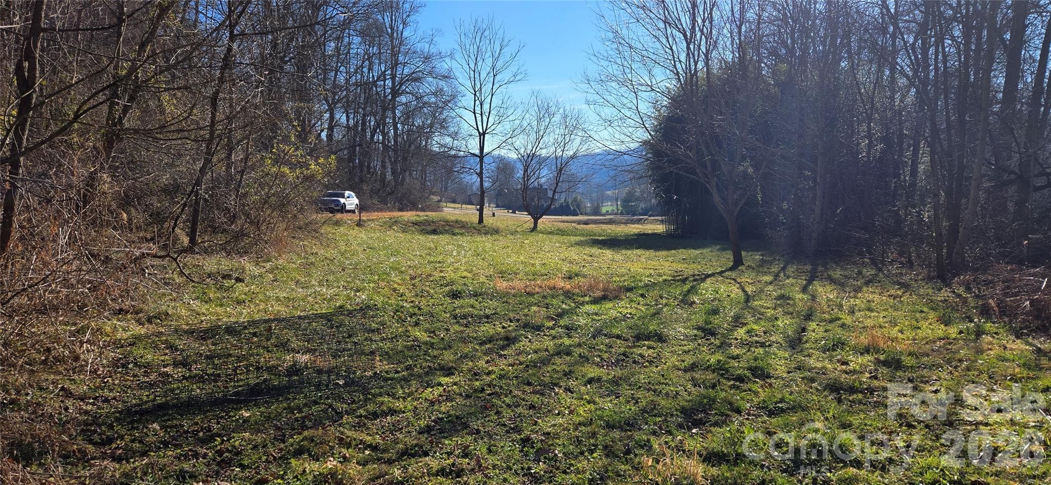 Lot at Waynesville, photo 14 of 58