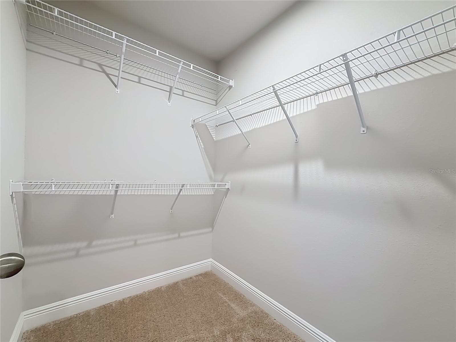 Townhouse at 6076 GRAND SONATA AVE, LUTZ, photo 42 of 87